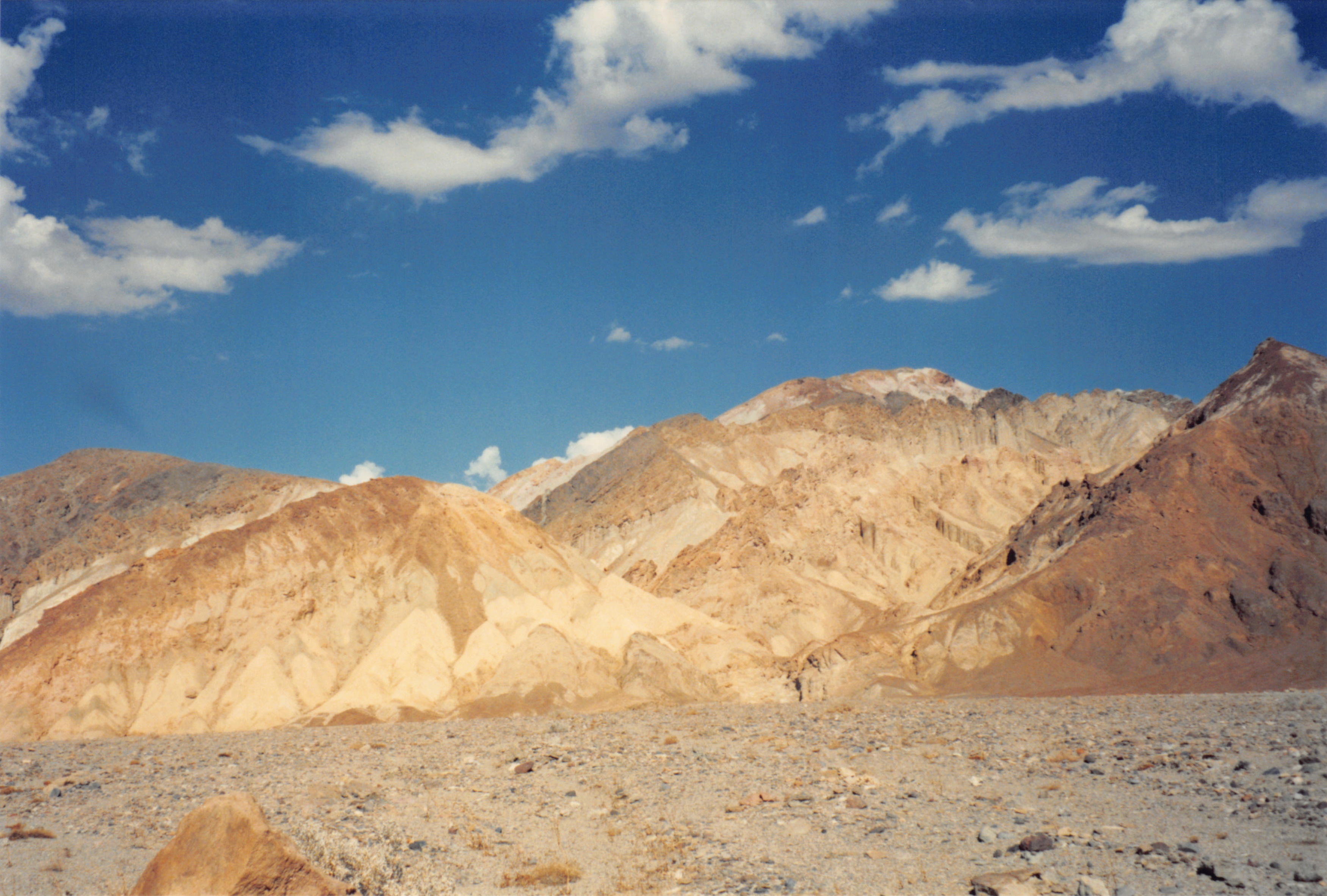 1994b_036.jpg