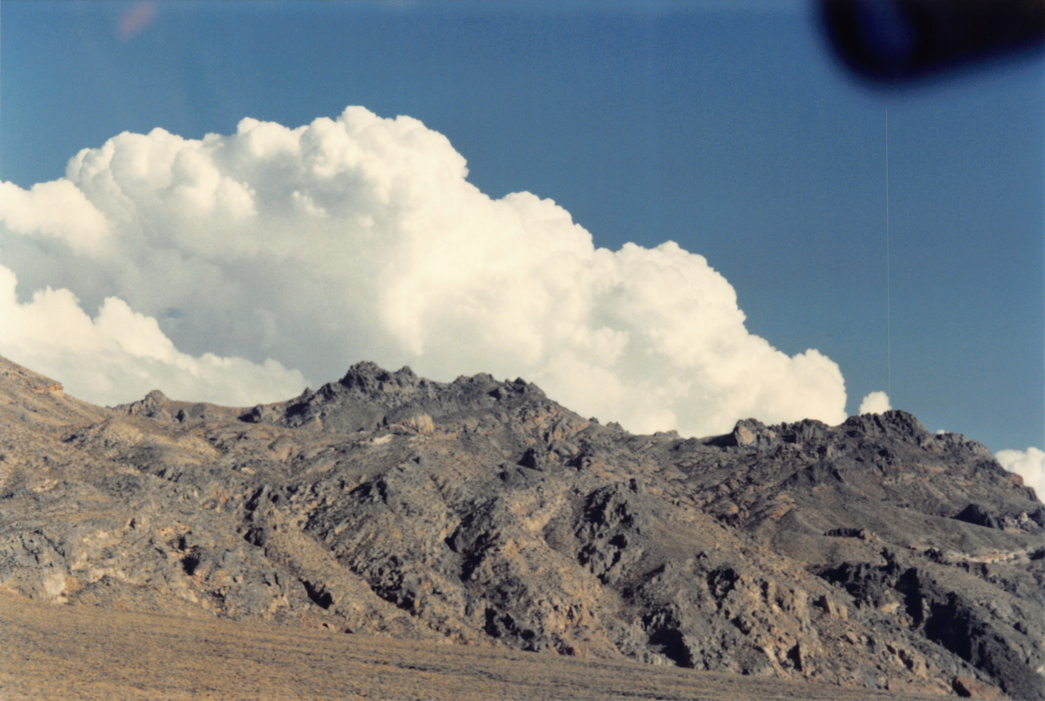 1994b_042.jpg