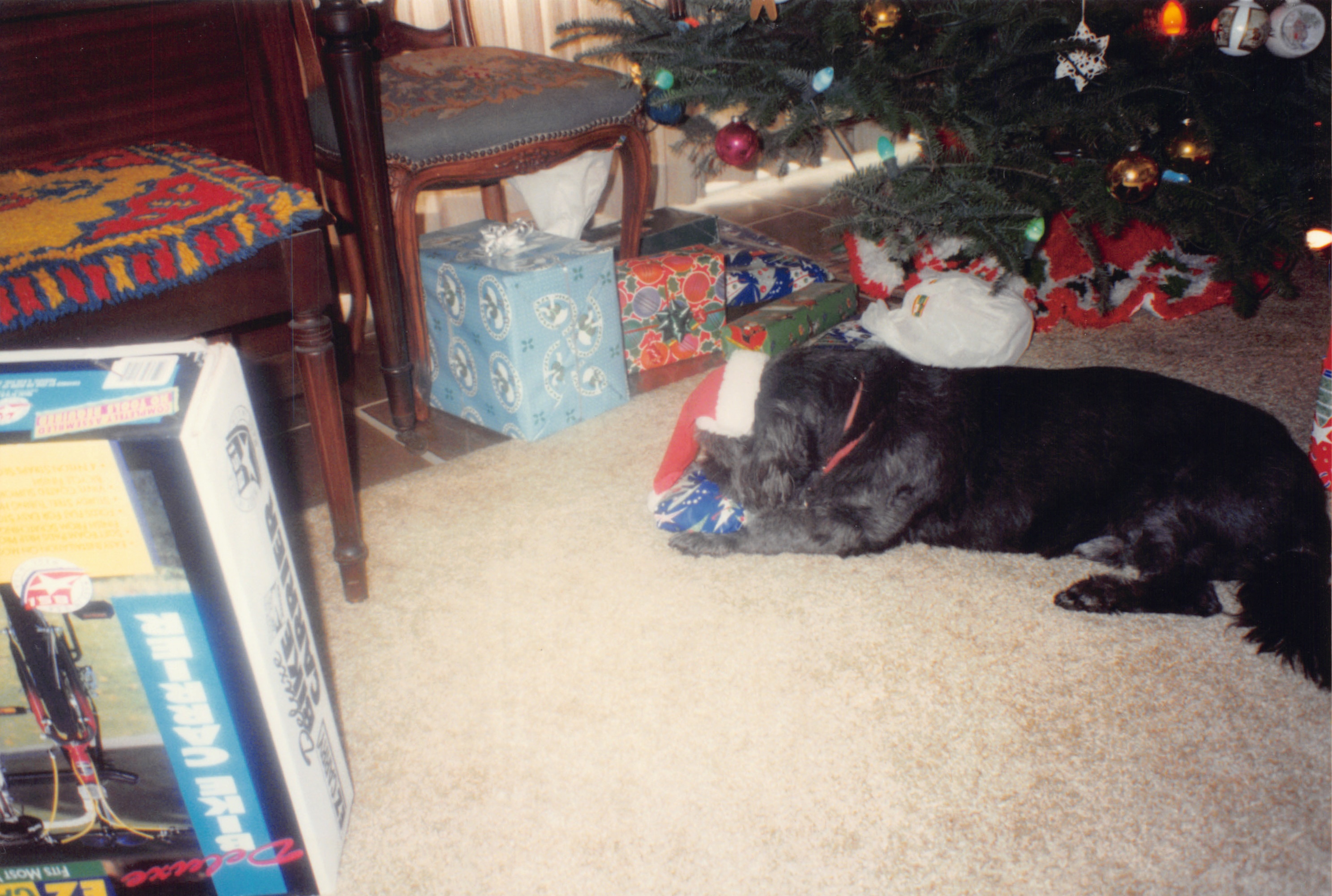 1994b_108.jpg