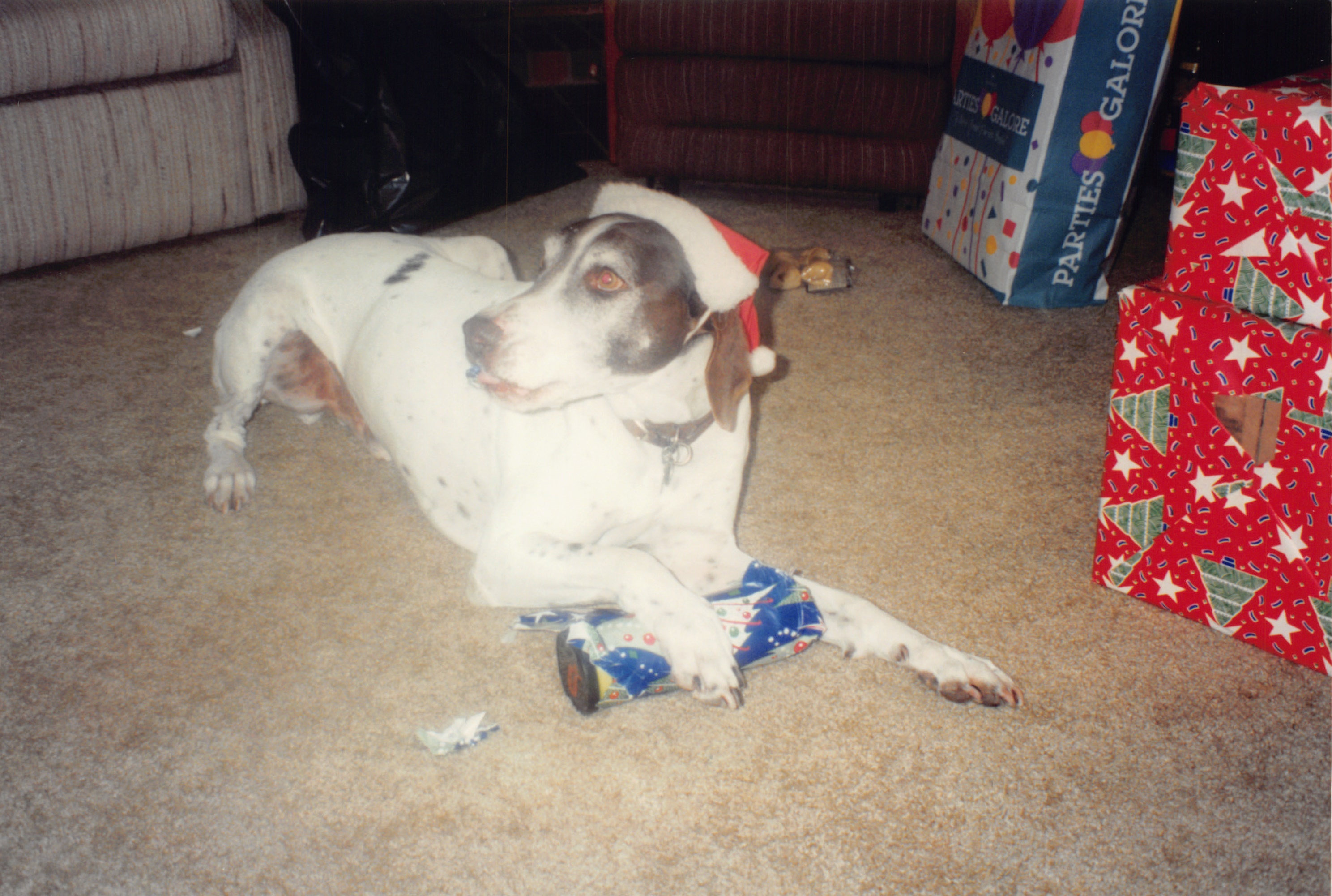 1994b_114.jpg