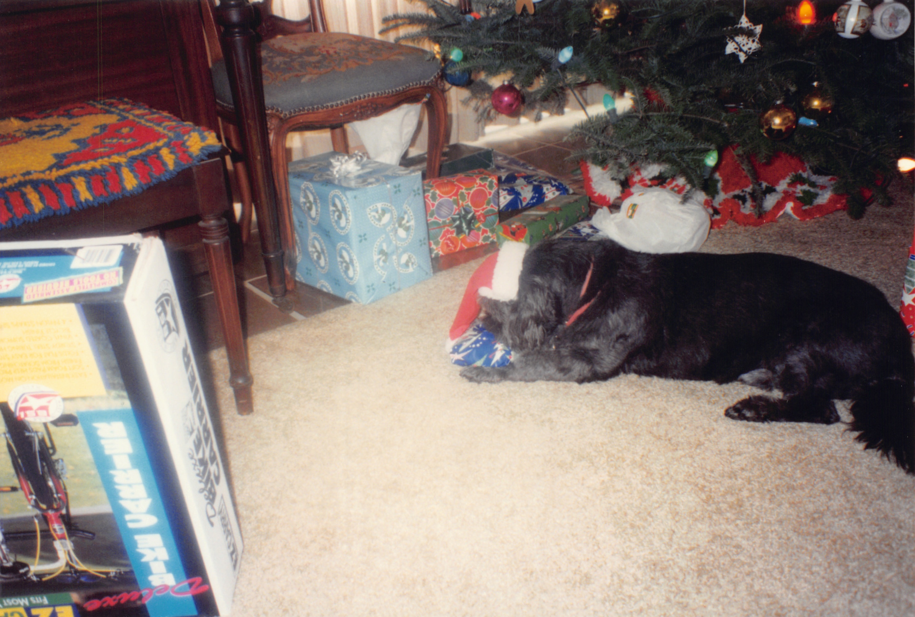 1994b_118.jpg