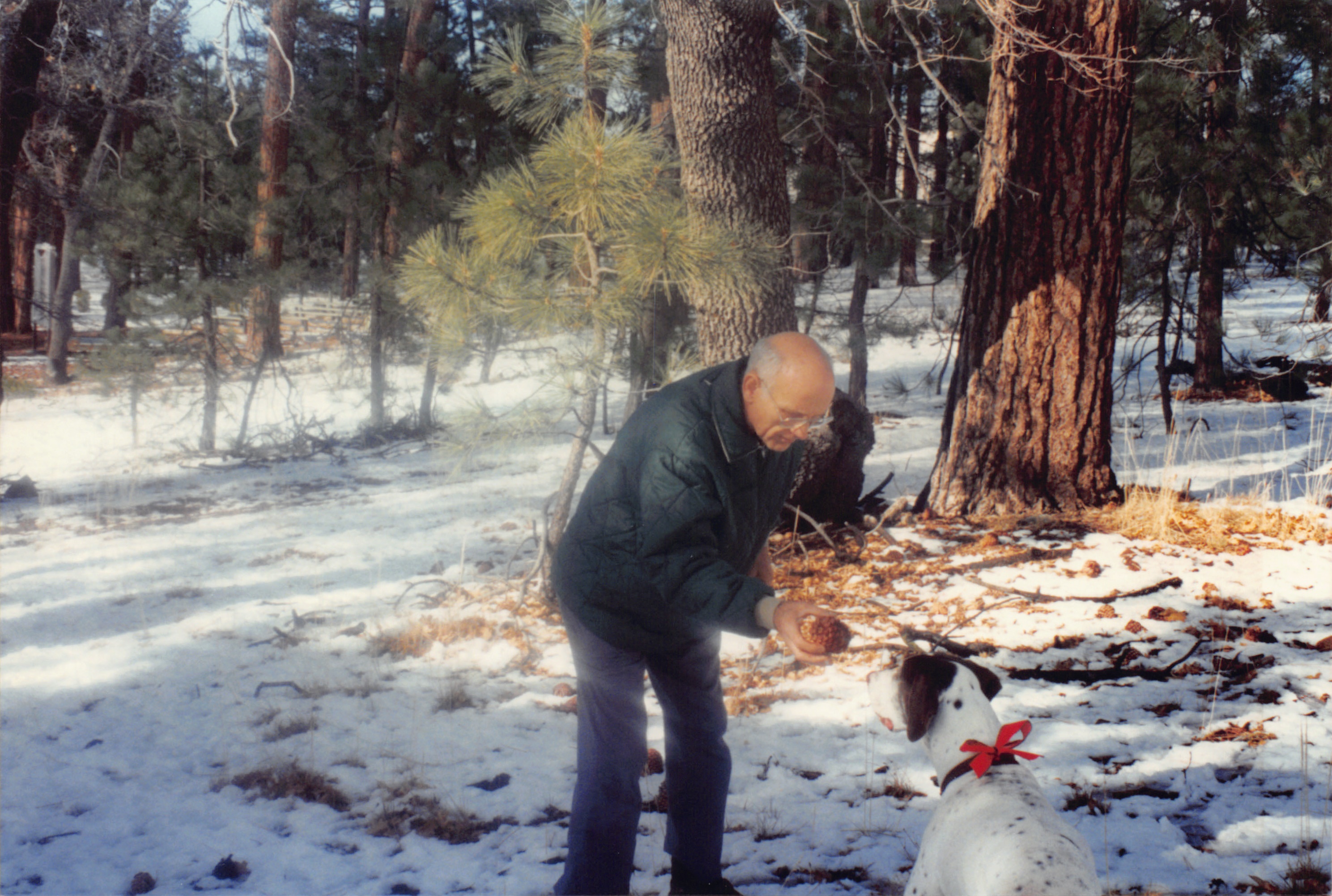 1994b_134.jpg