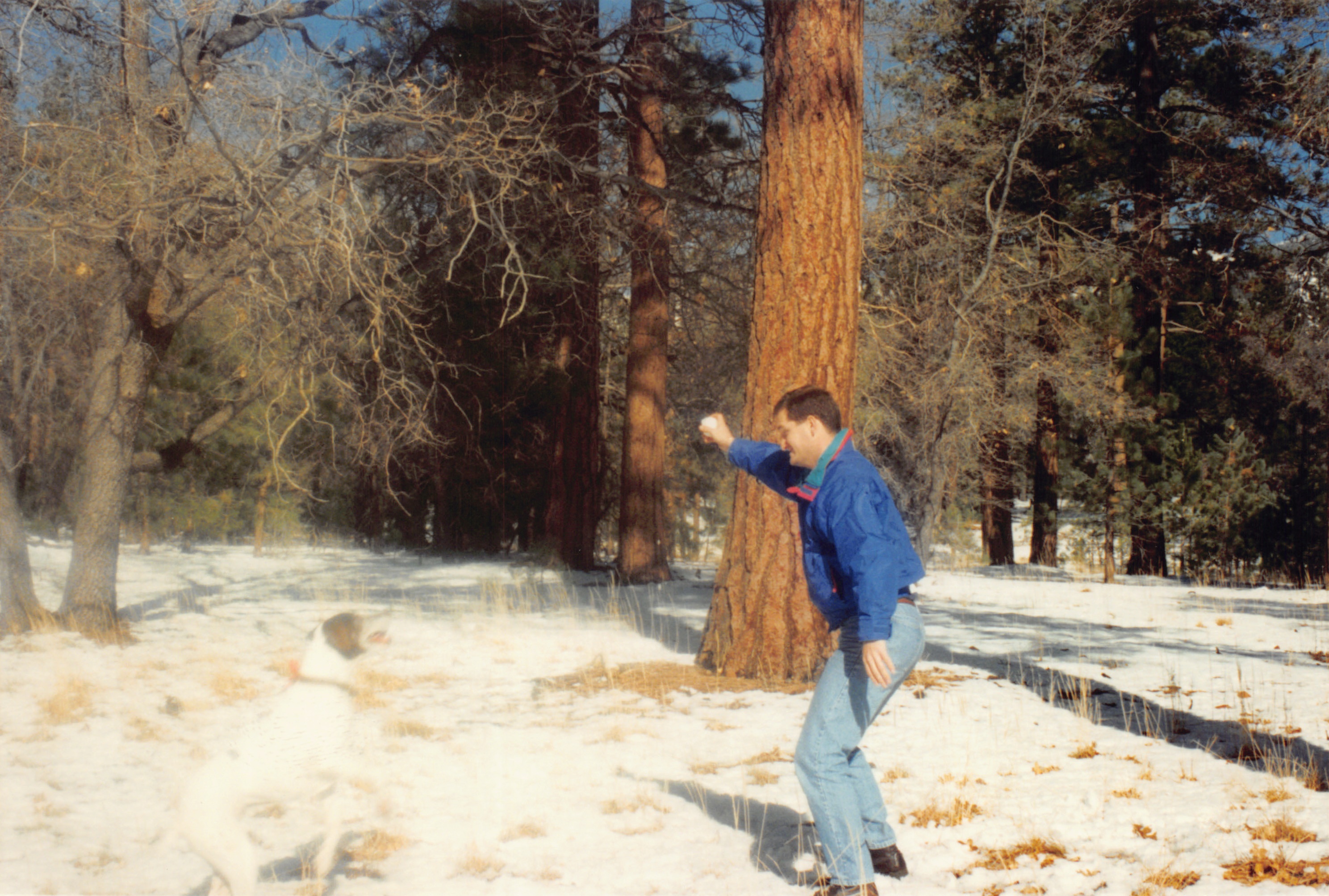 1994b_136.jpg
