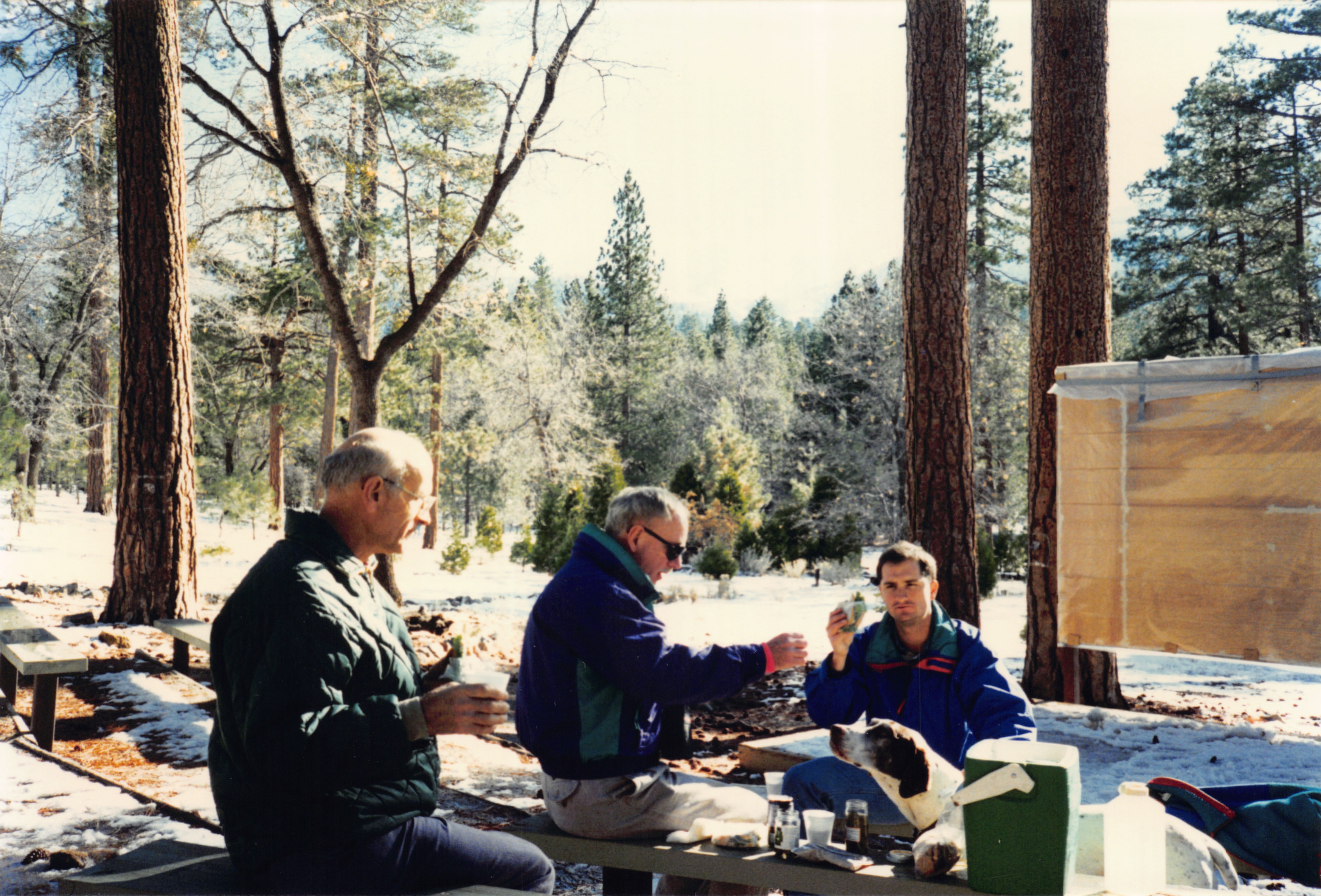 1994b_138.jpg