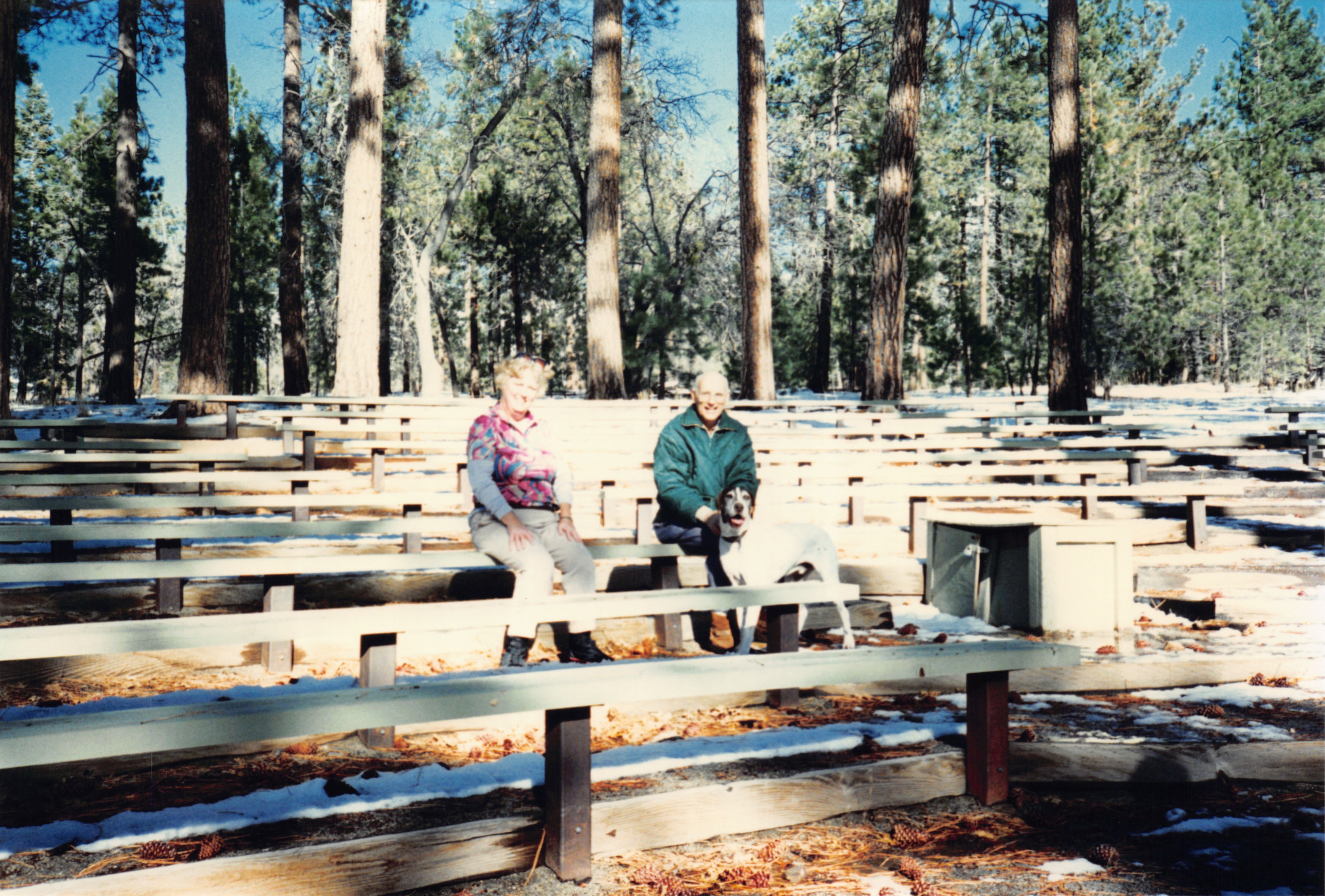 1994b_140.jpg