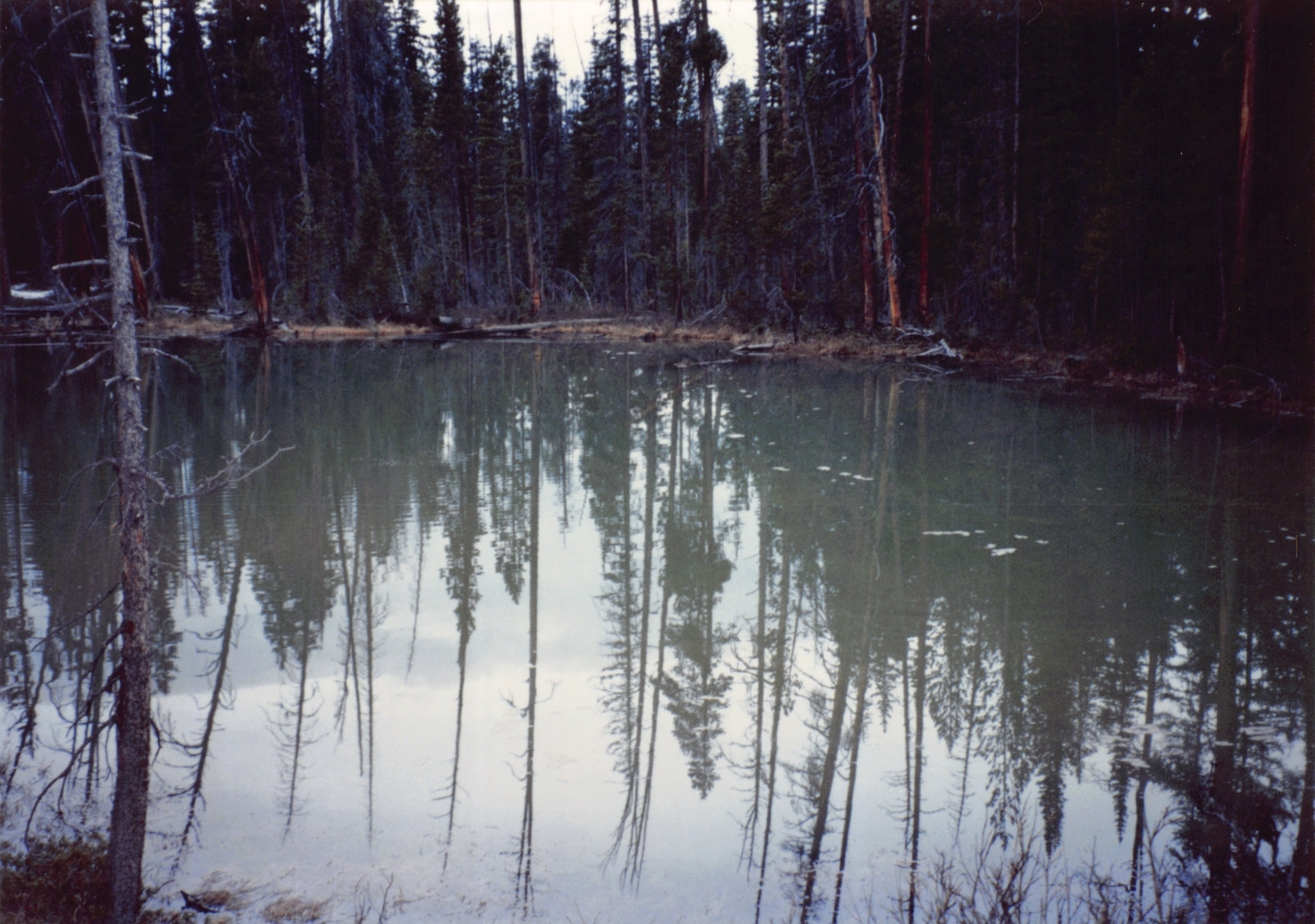 1994_Summer_008.jpg