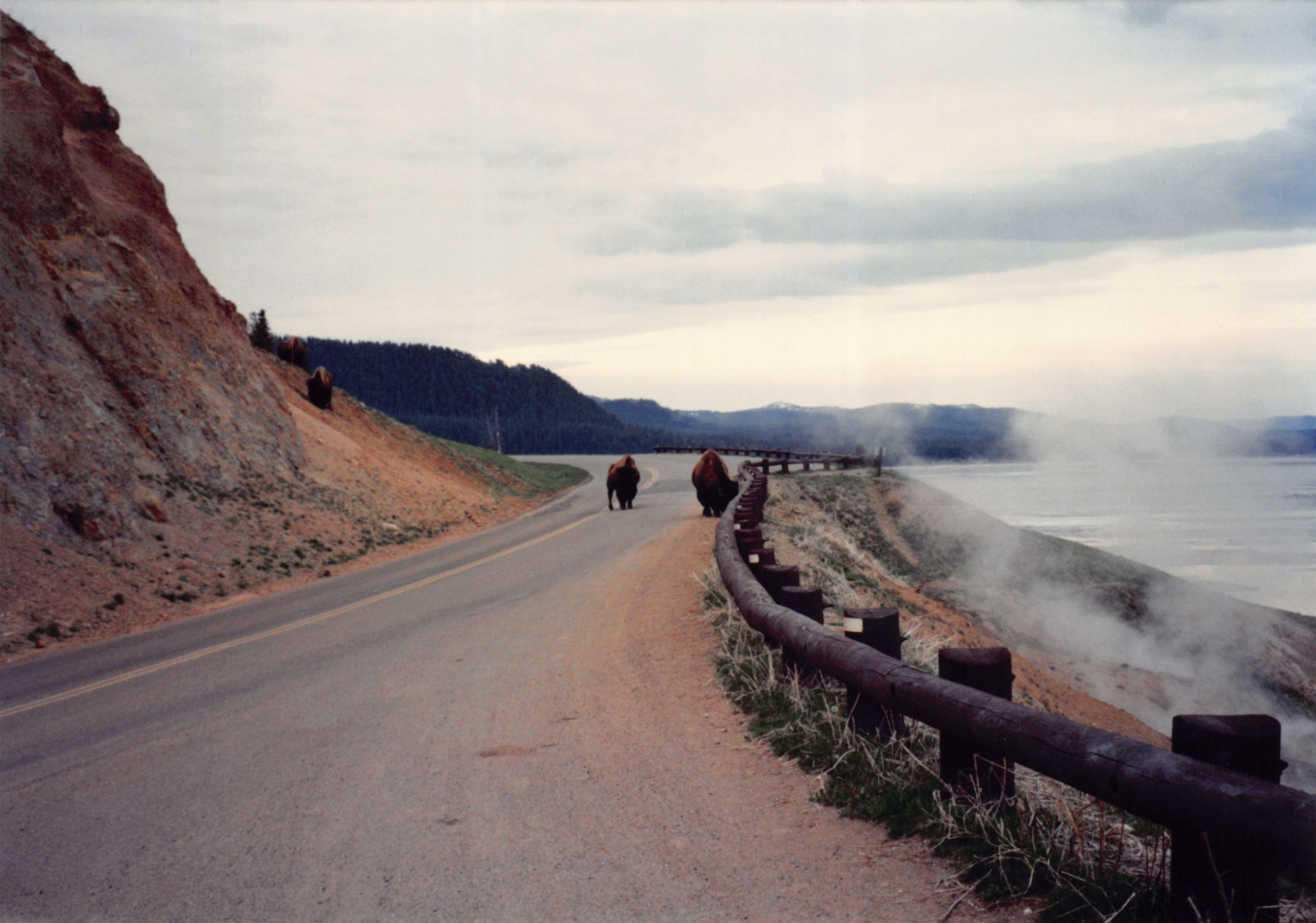 1994_Summer_010.jpg