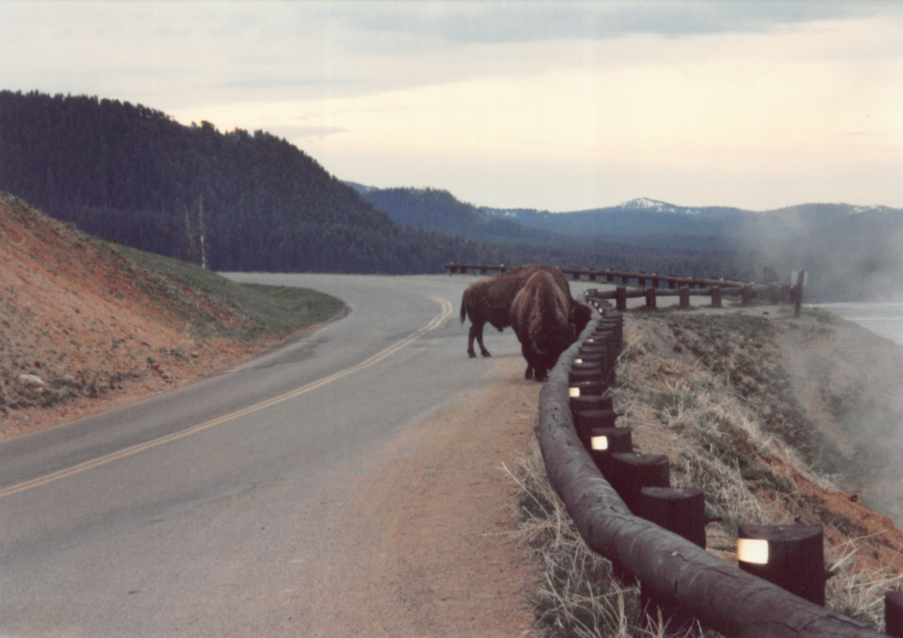 1994_Summer_012.jpg