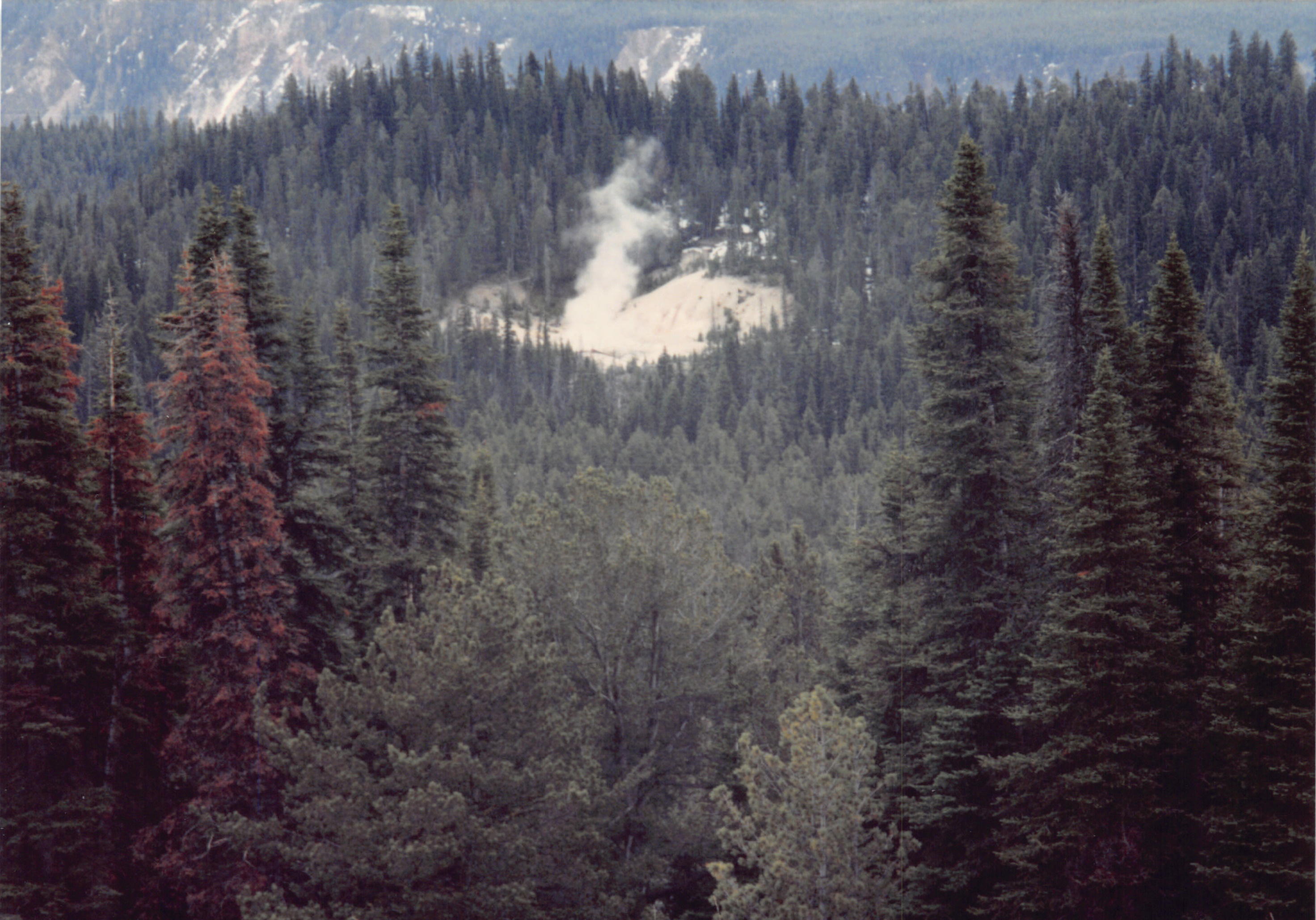 1994_Summer_016.jpg