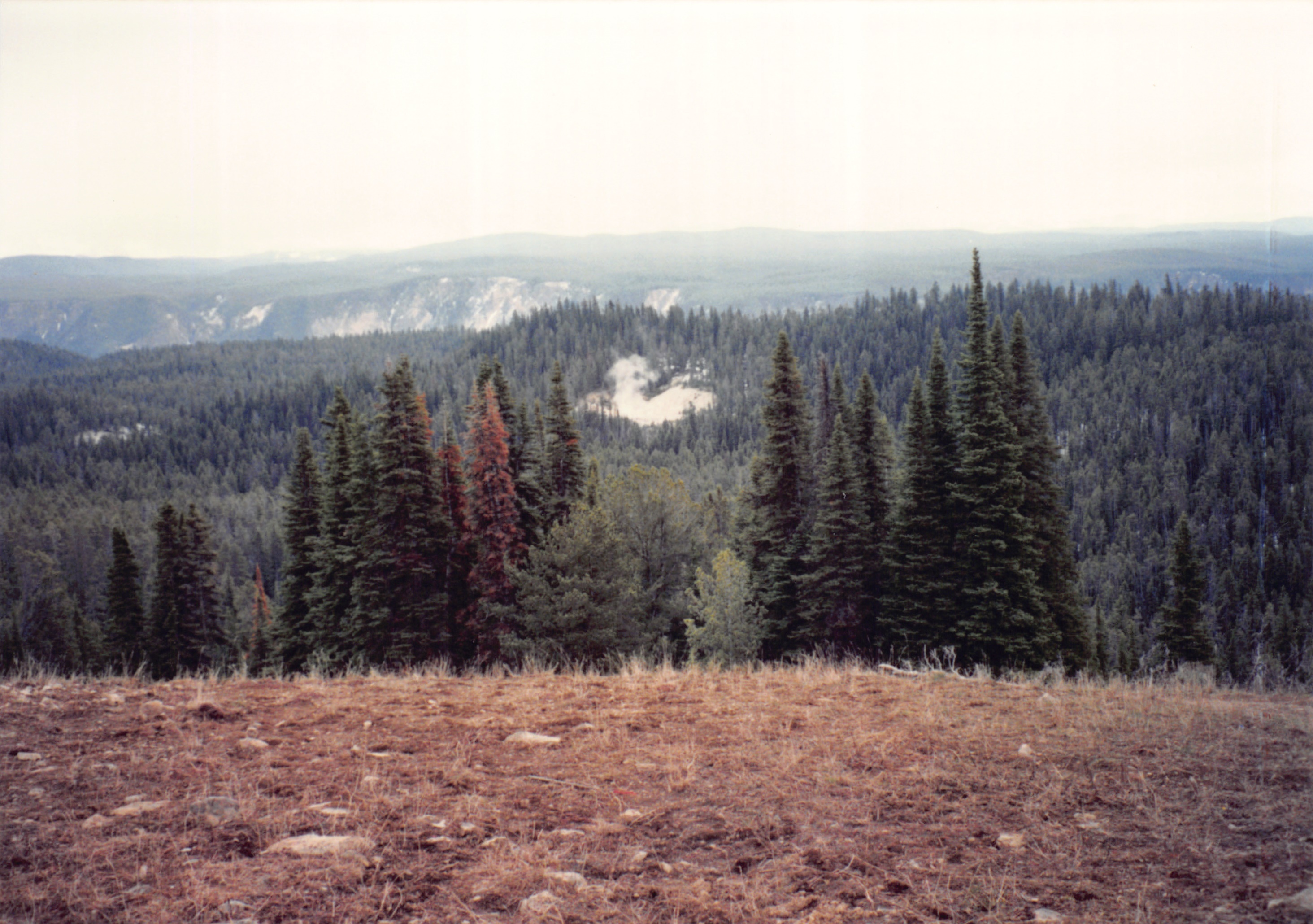 1994_Summer_017.jpg