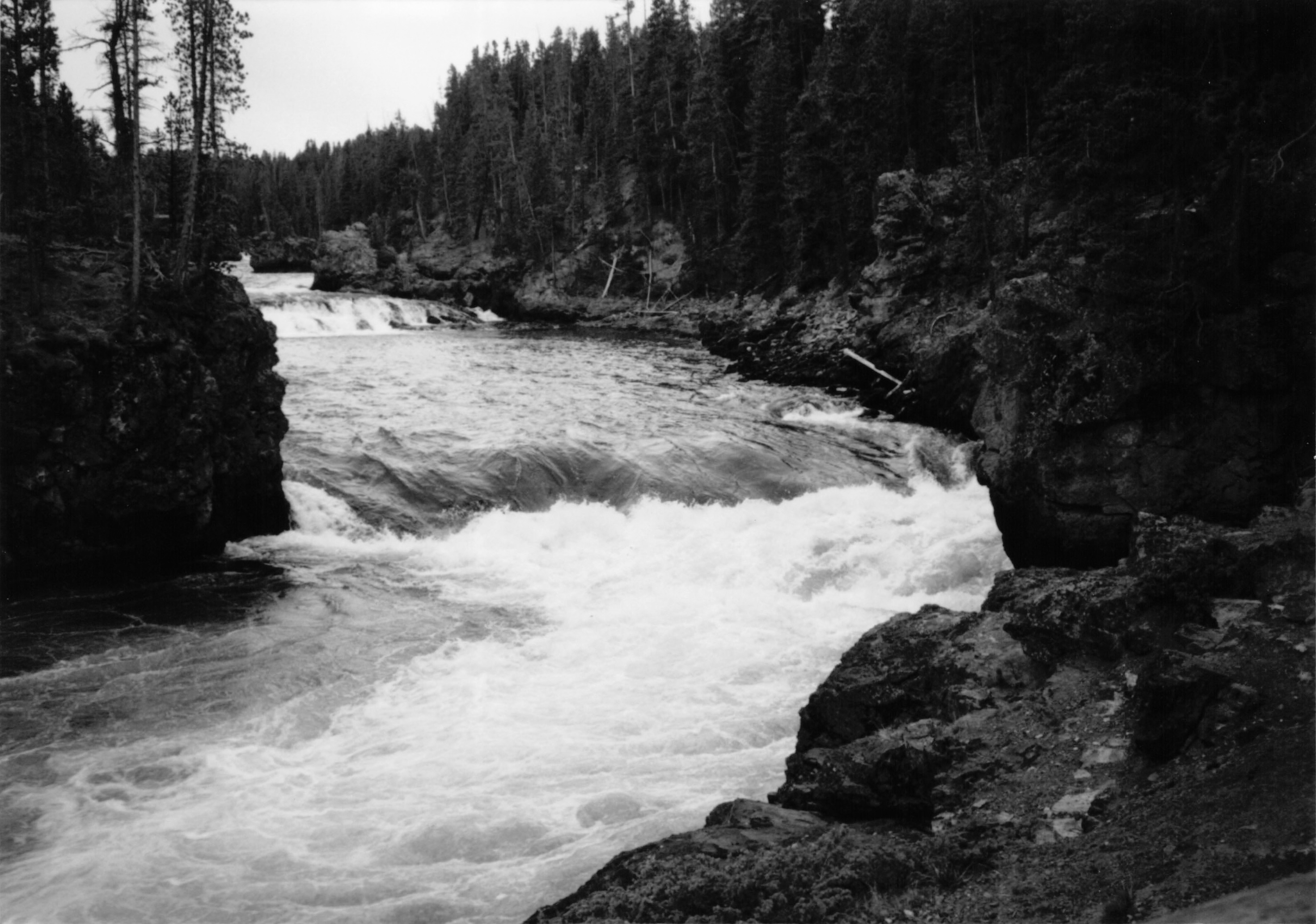 1994_Summer_021.jpg