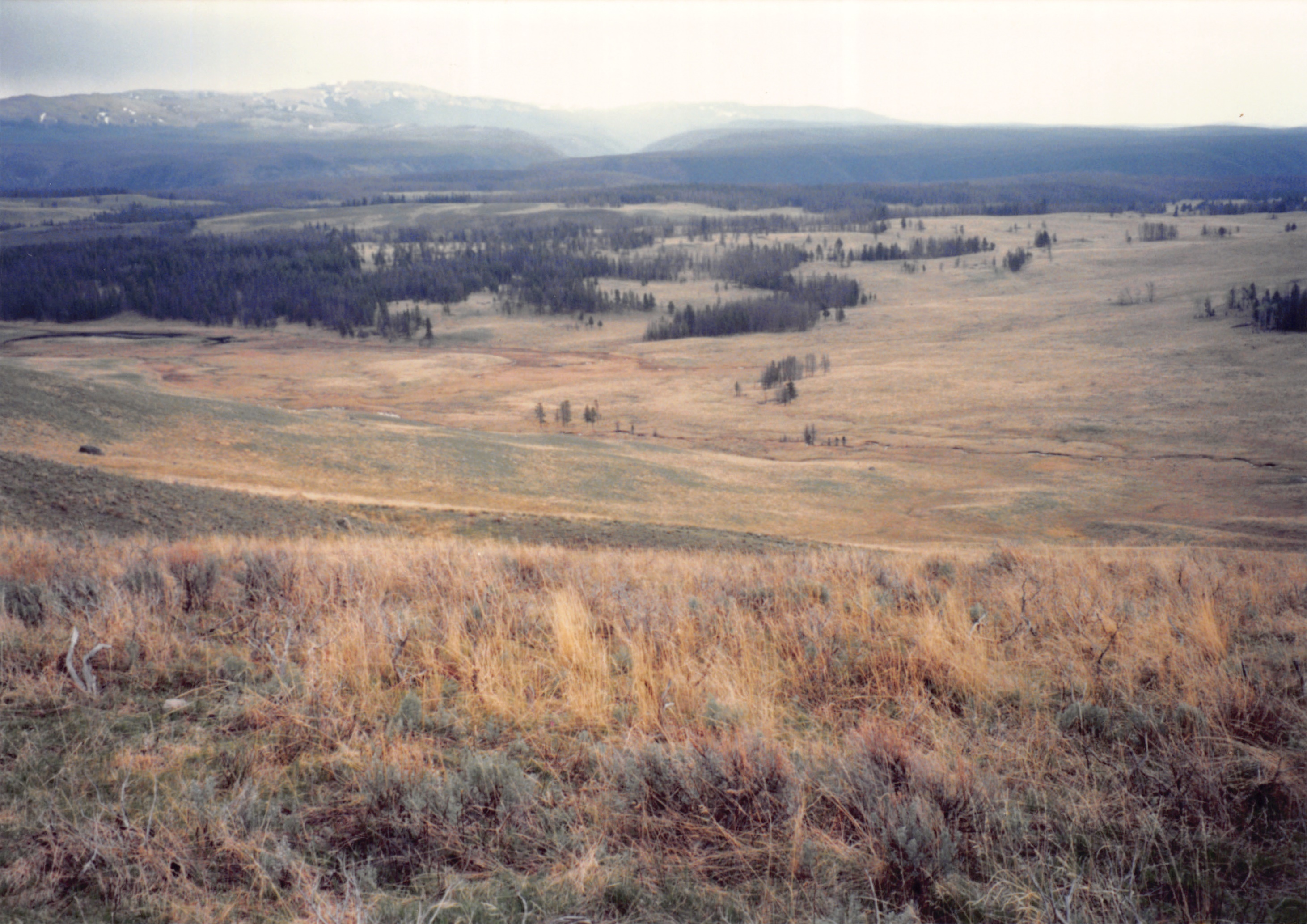 1994_Summer_024.jpg