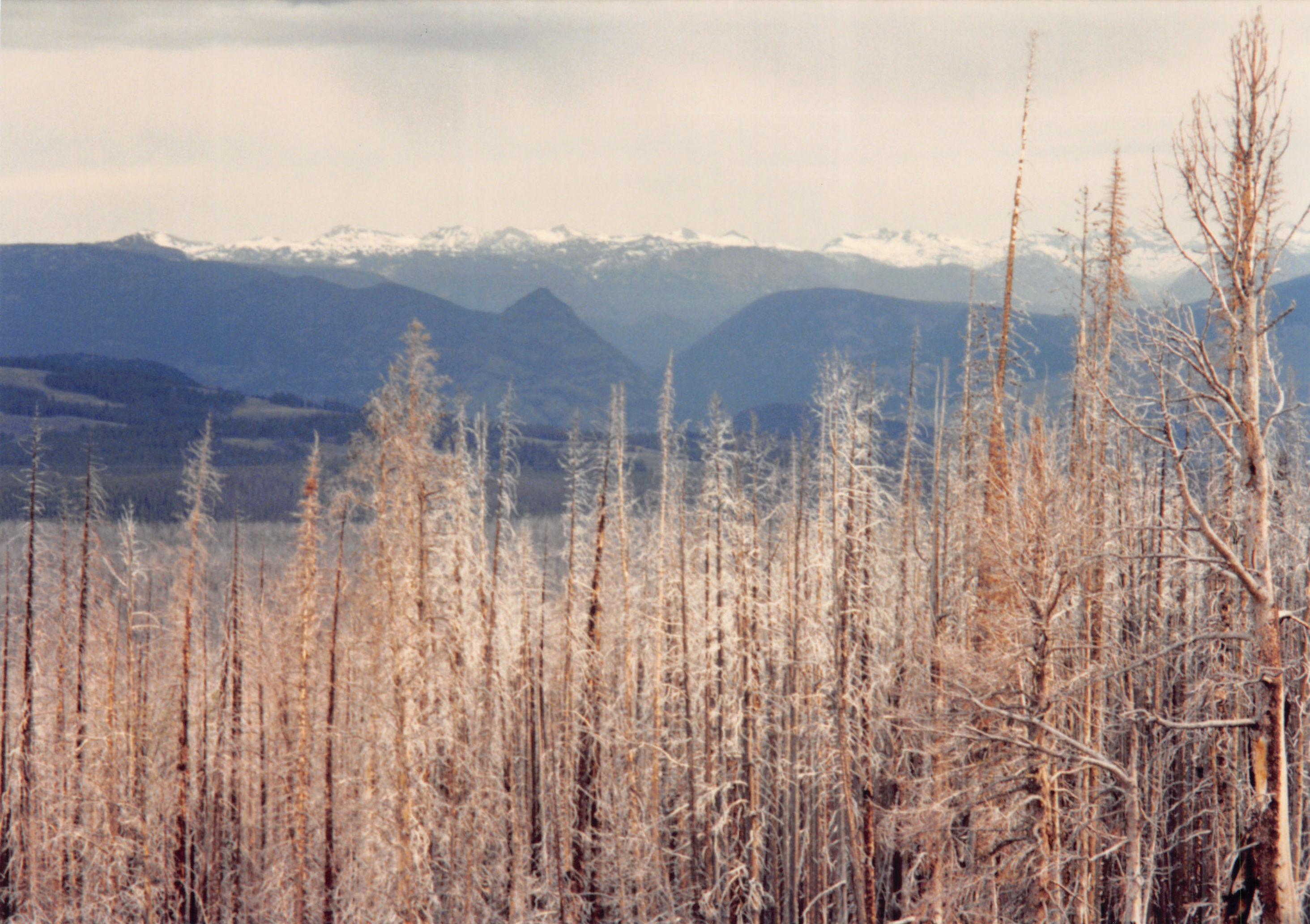 1994_Summer_028.jpg
