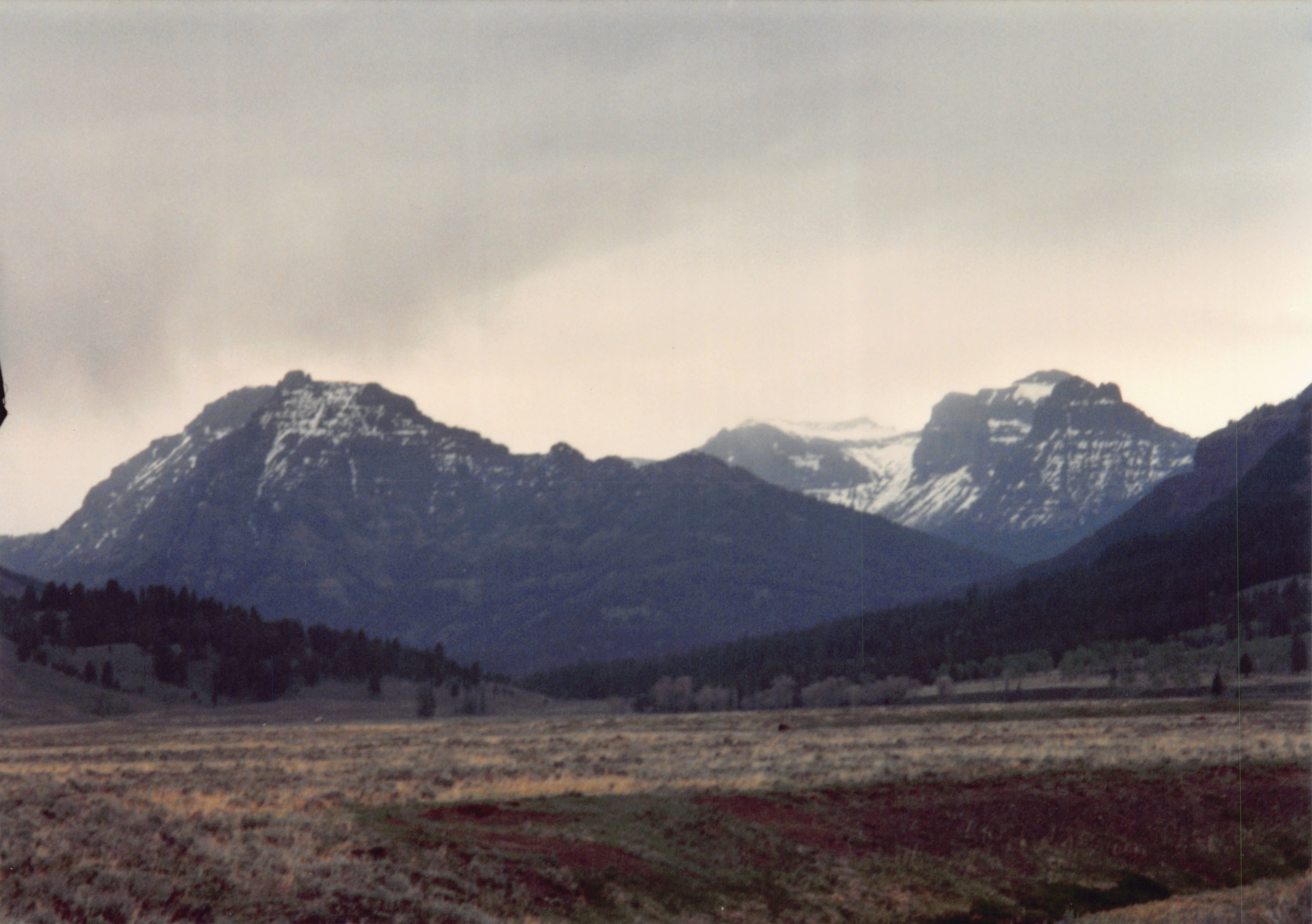 1994_Summer_037.jpg