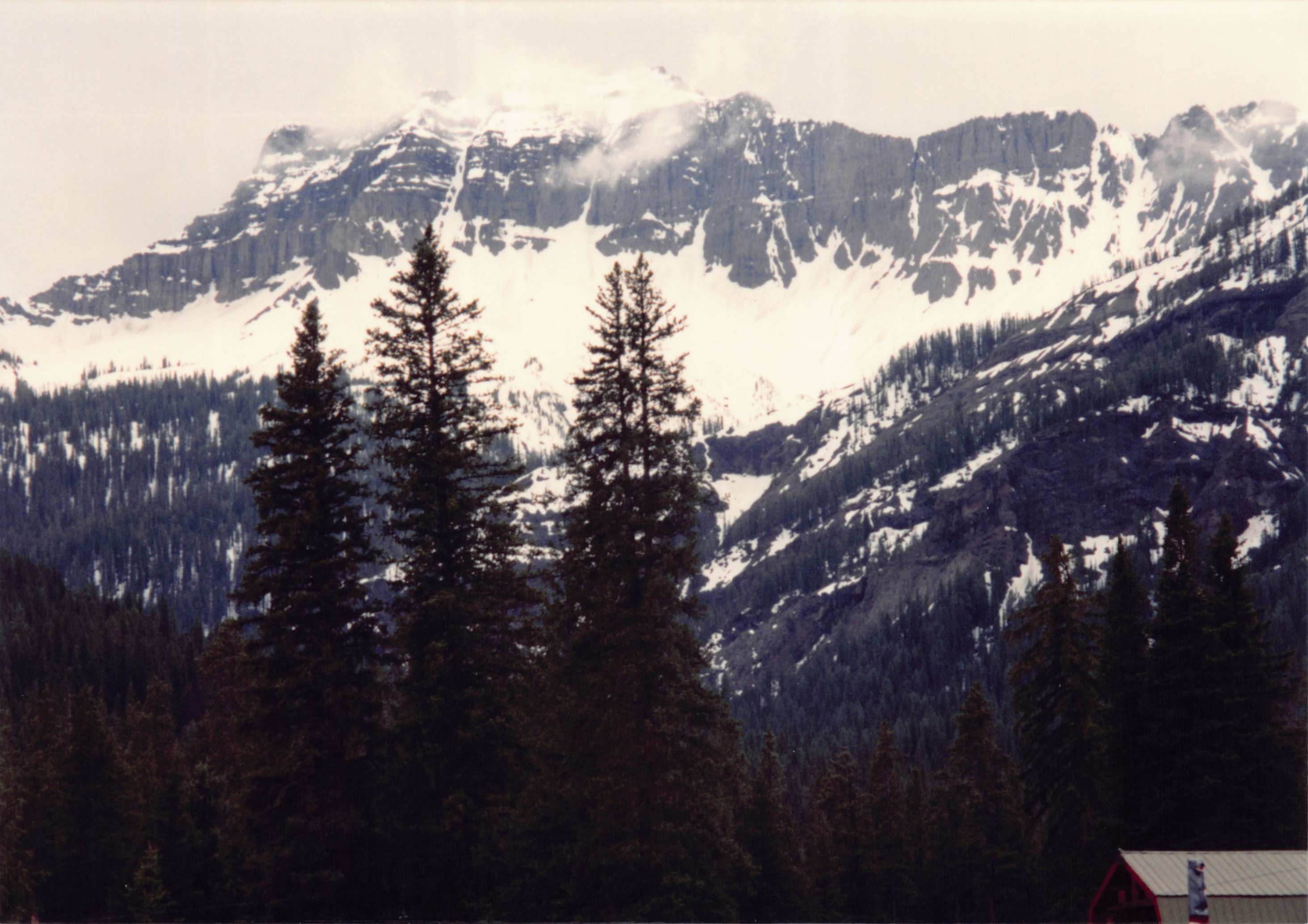 1994_Summer_050.jpg