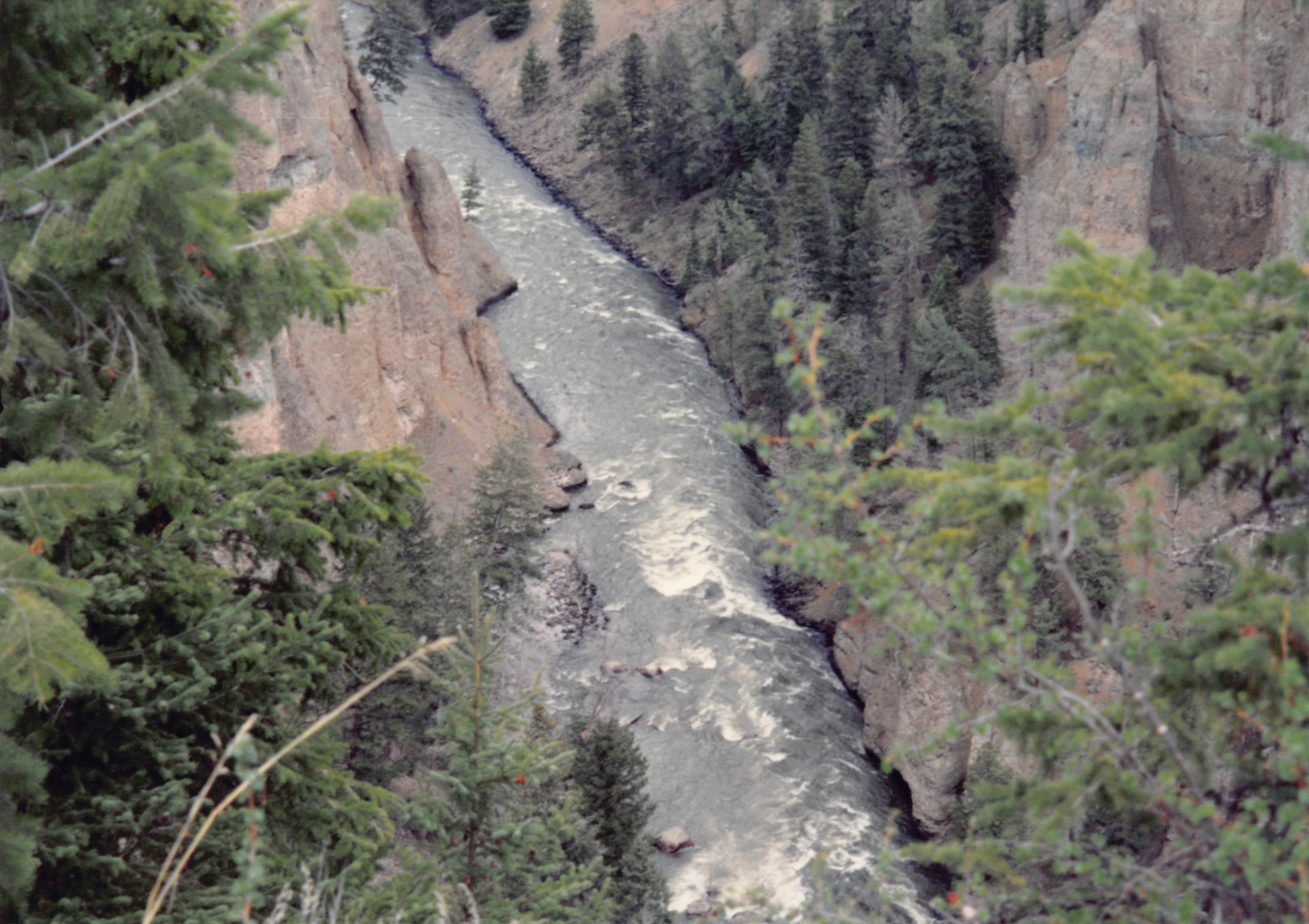 1994_Summer_070.jpg