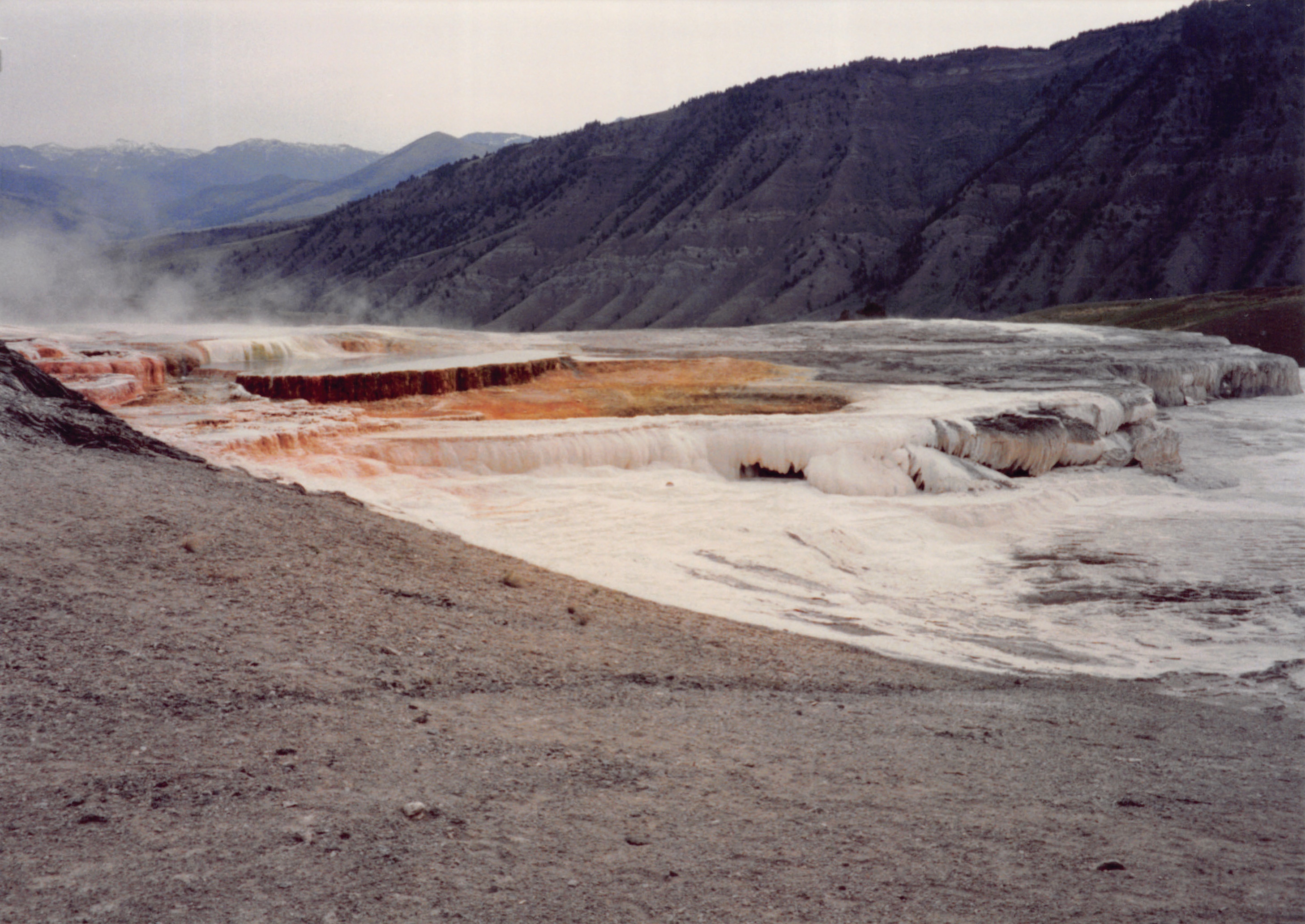 1994_Summer_080.jpg