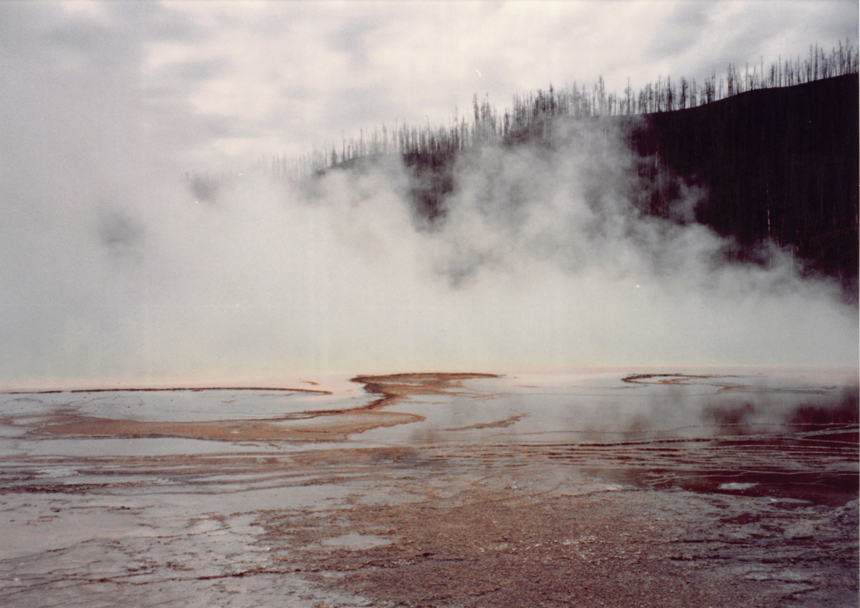 1994_Summer_090.jpg