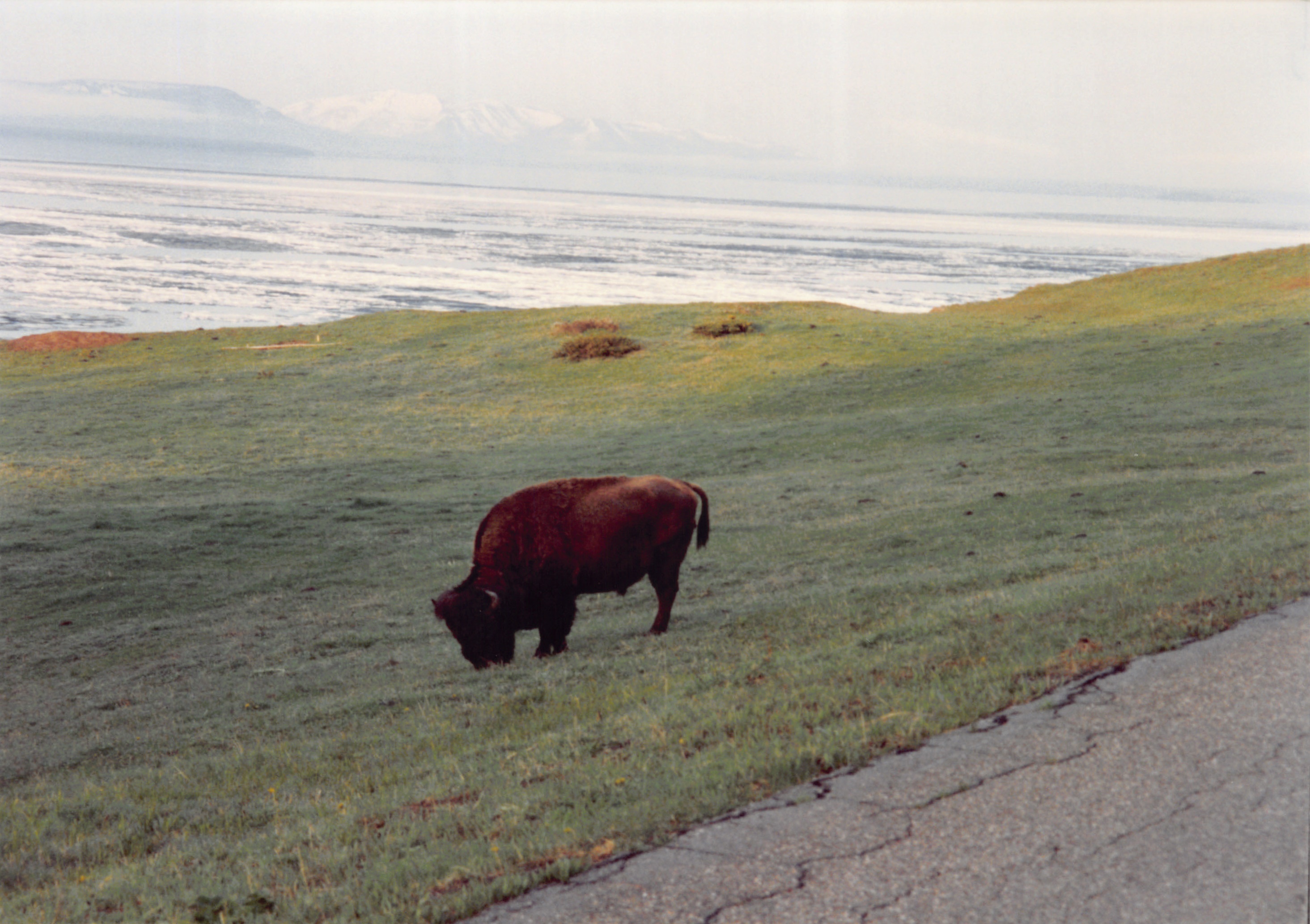 1994_Summer_094.jpg