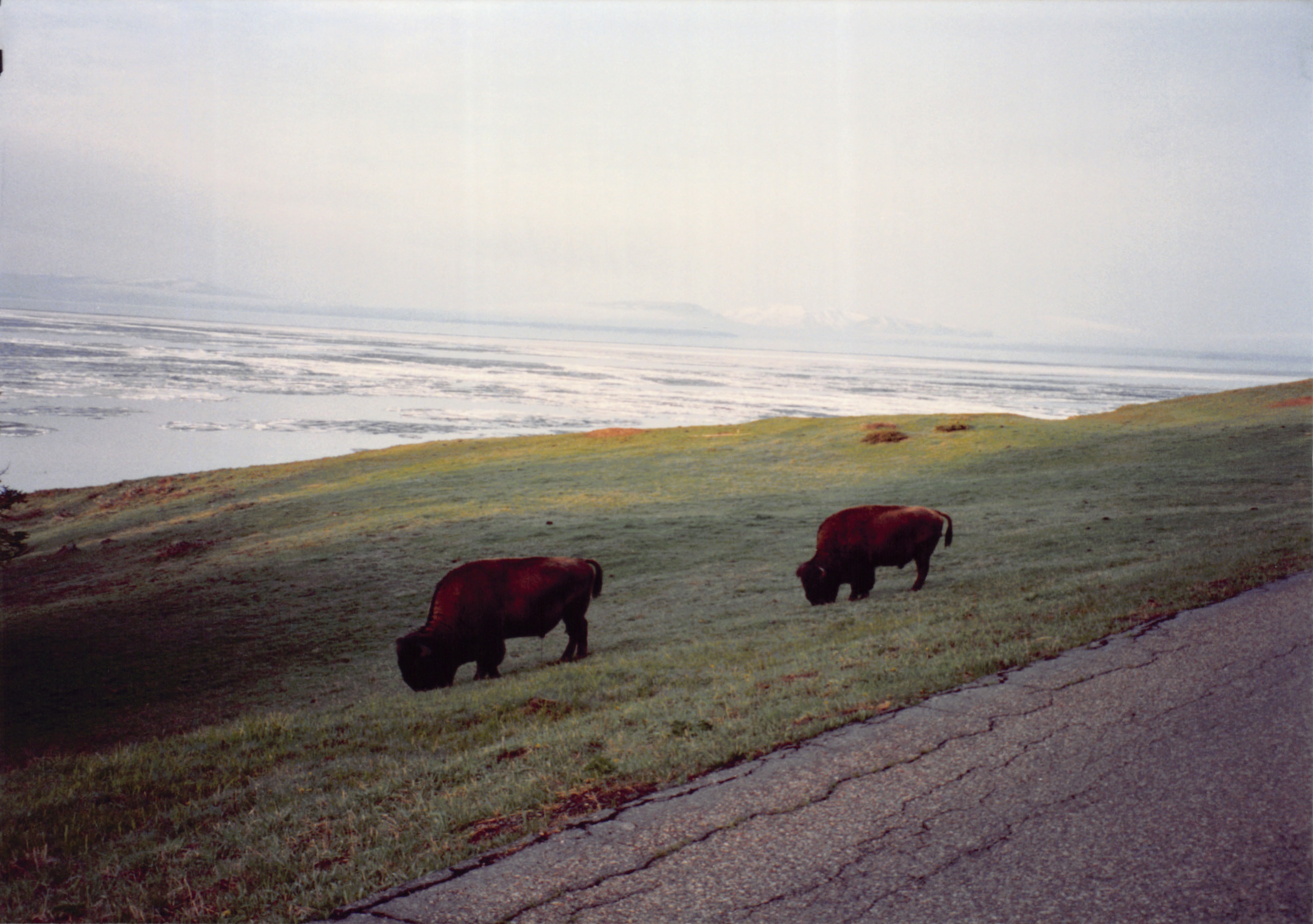 1994_Summer_096.jpg
