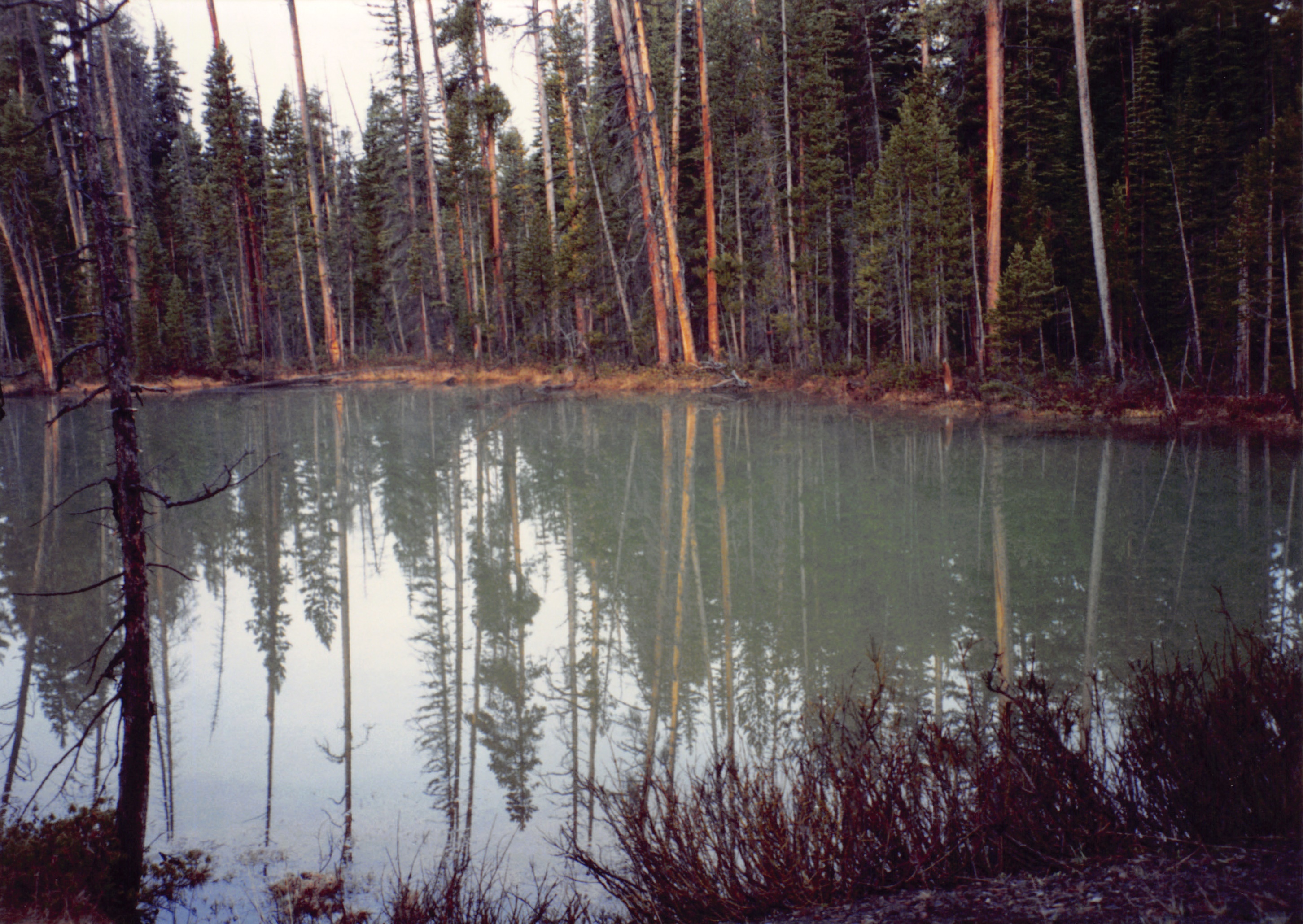 1994_Summer_098.jpg