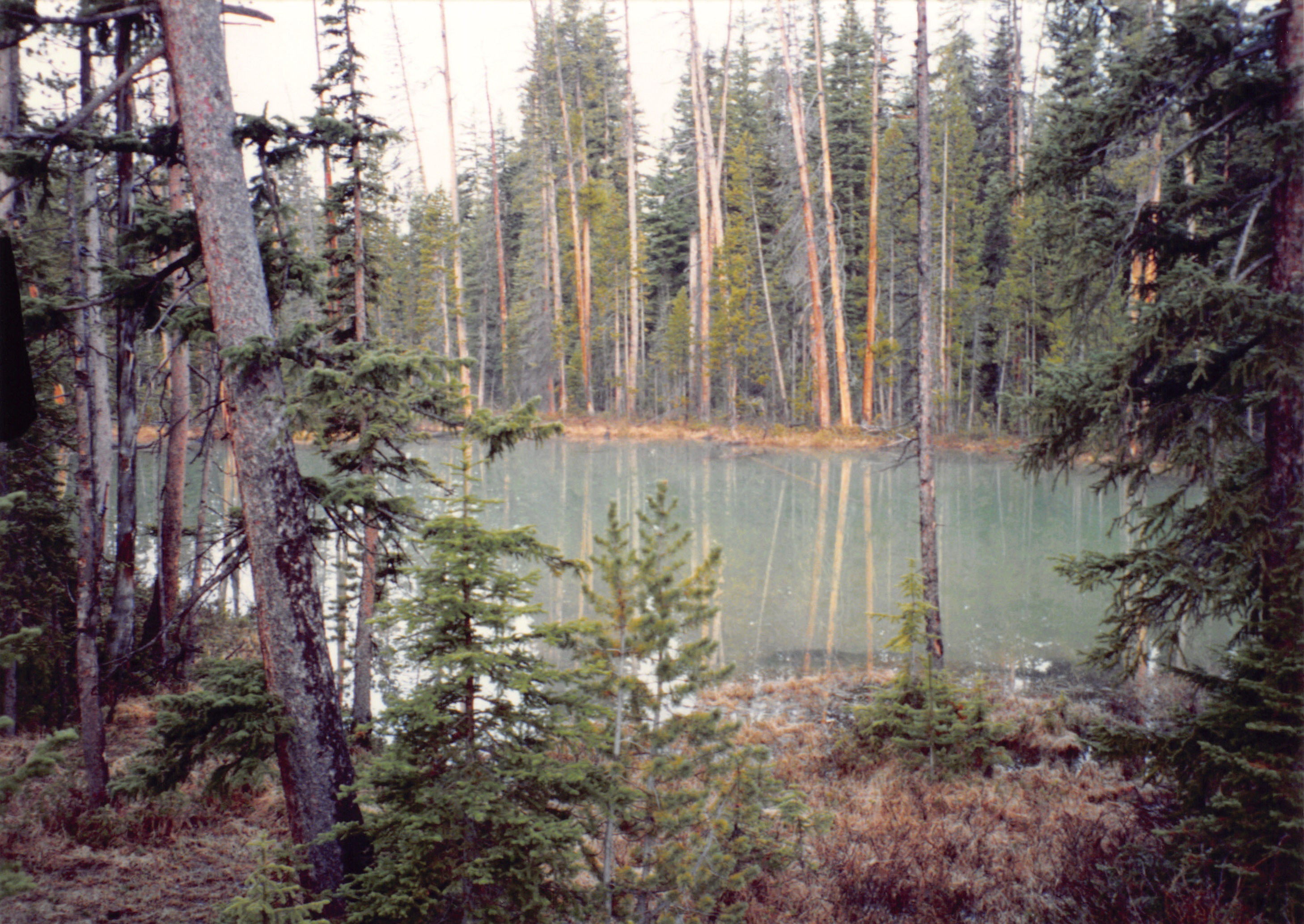 1994_Summer_100.jpg