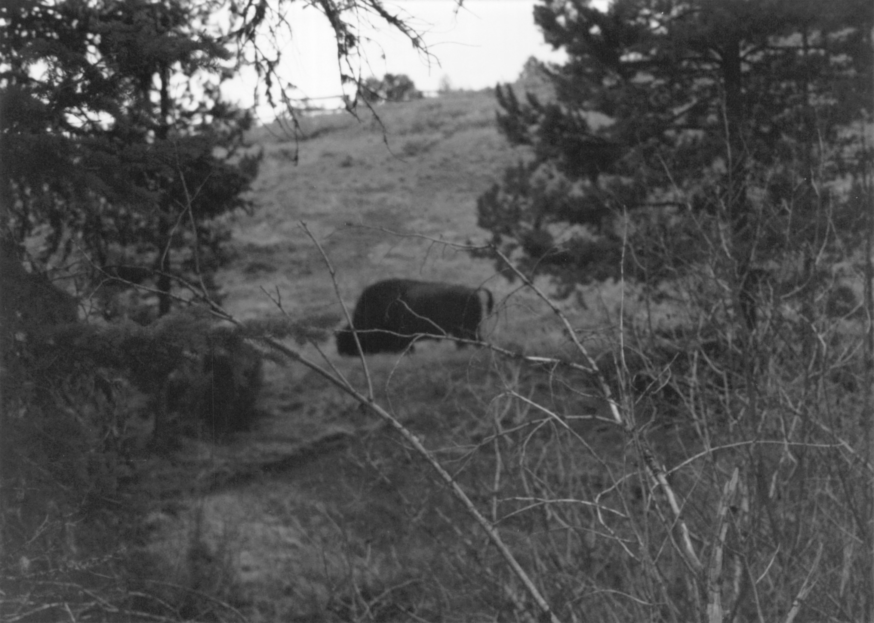 1994_Summer_102.jpg