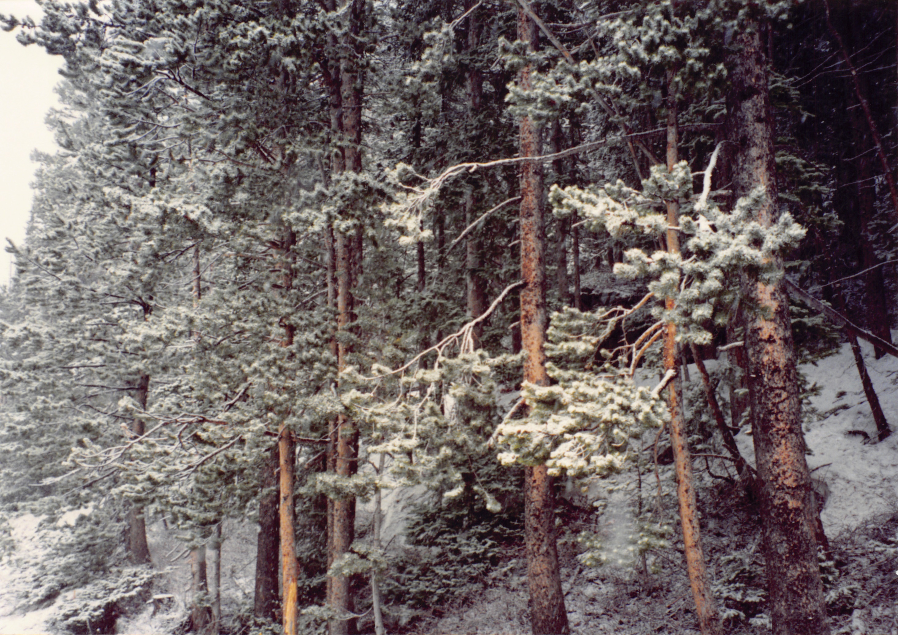 1994_Summer_108.jpg