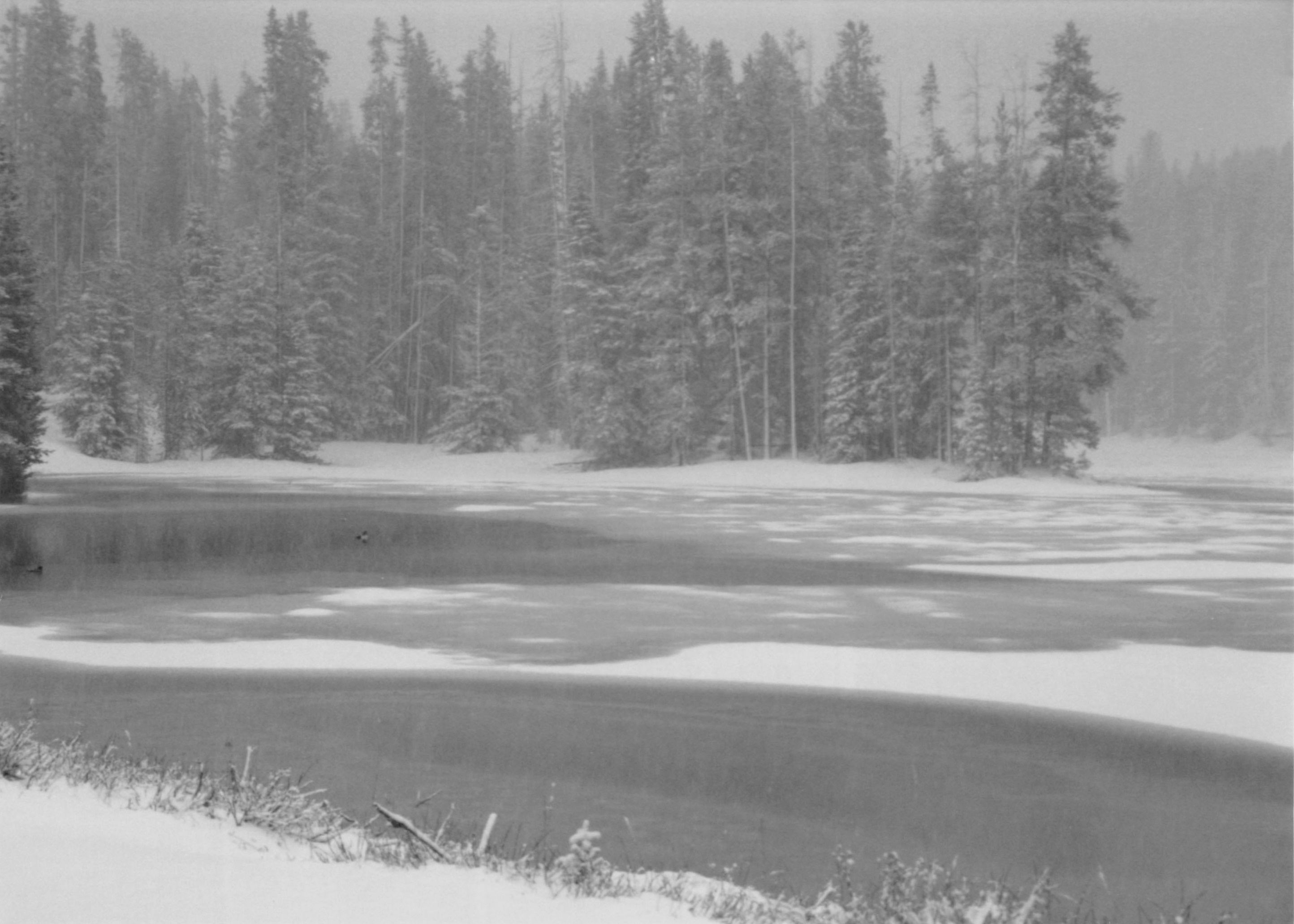 1994_Summer_111.jpg