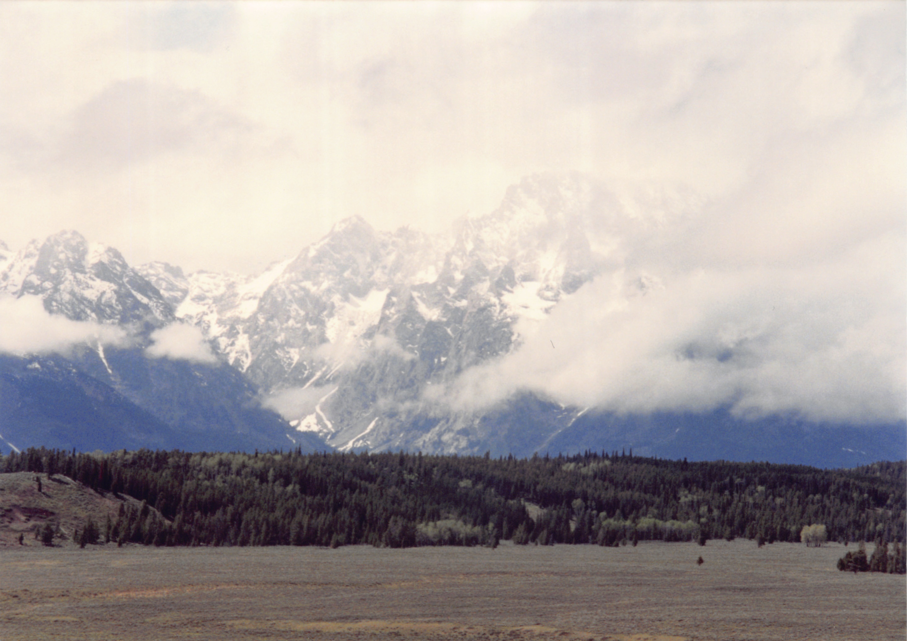 1994_Summer_119.jpg