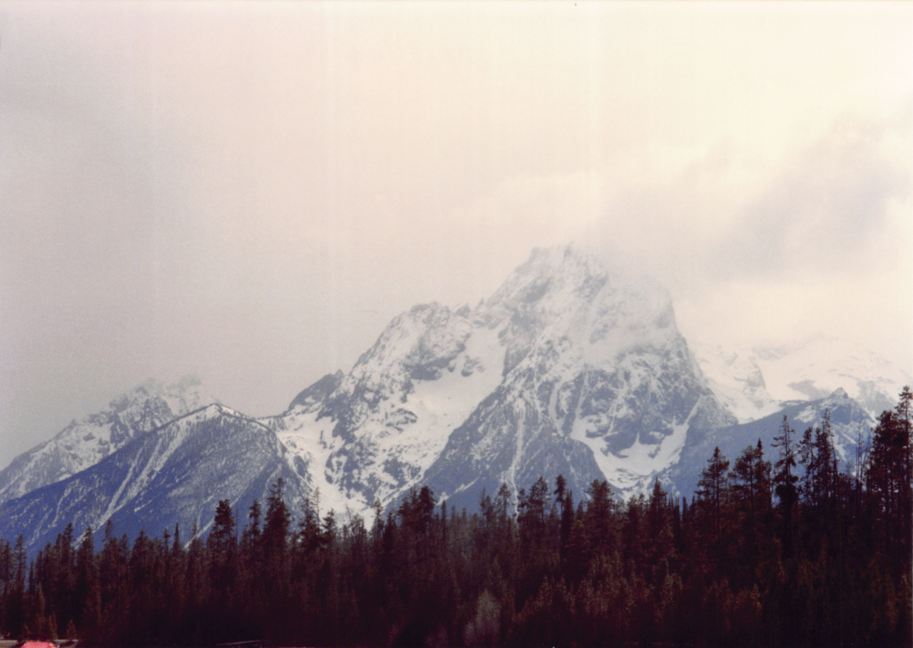 1994_Summer_123.jpg
