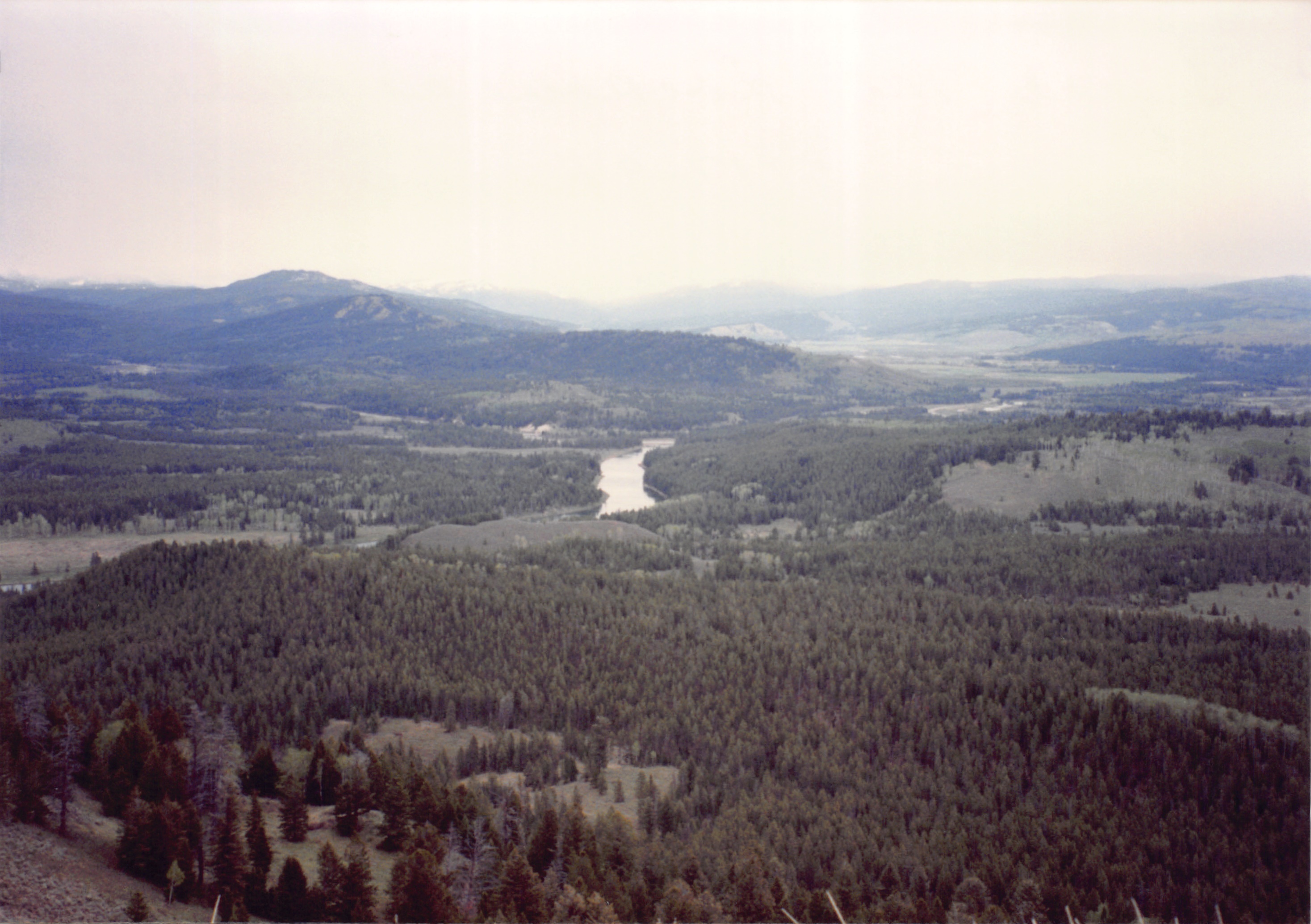 1994_Summer_125.jpg