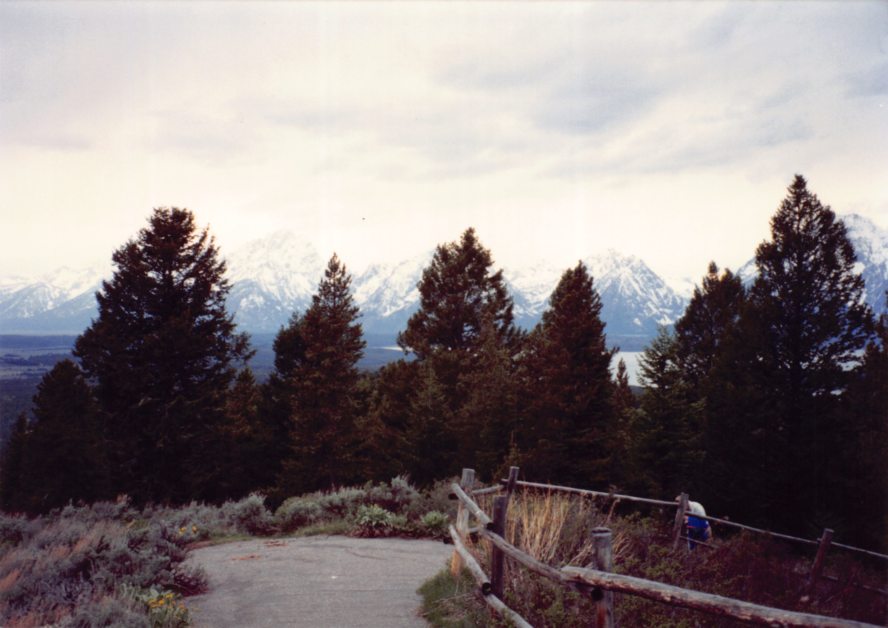 1994_Summer_127.jpg