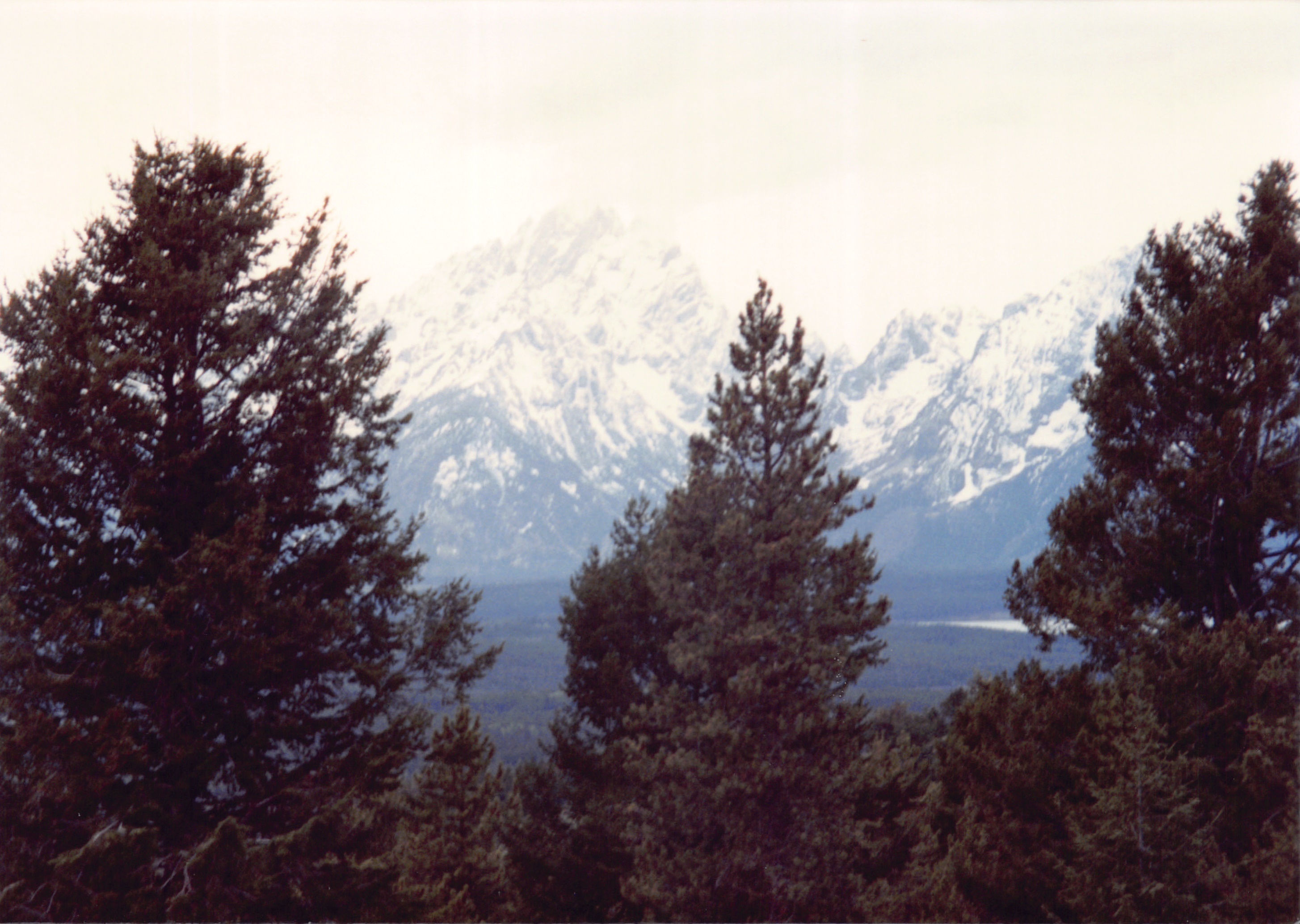 1994_Summer_129.jpg