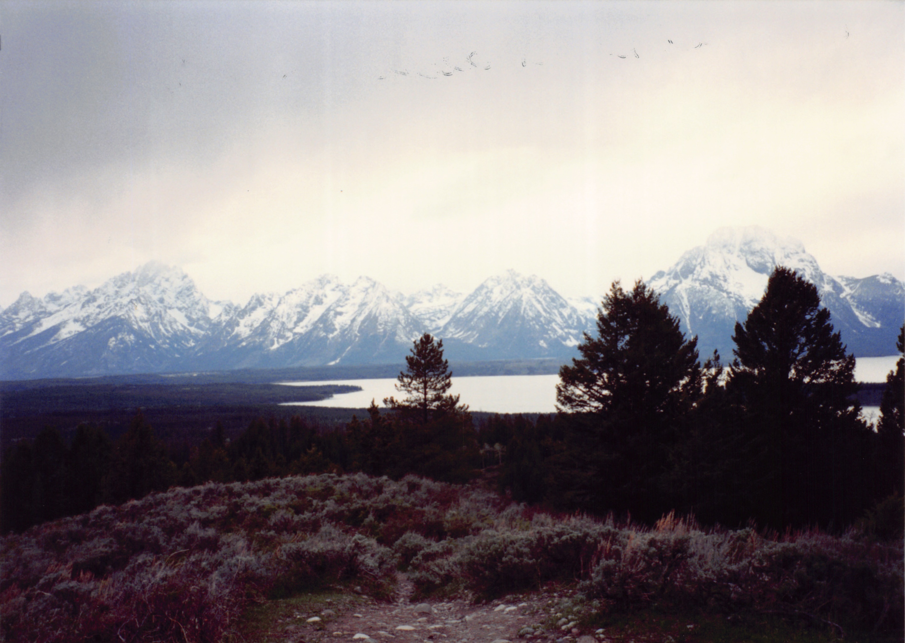 1994_Summer_137.jpg