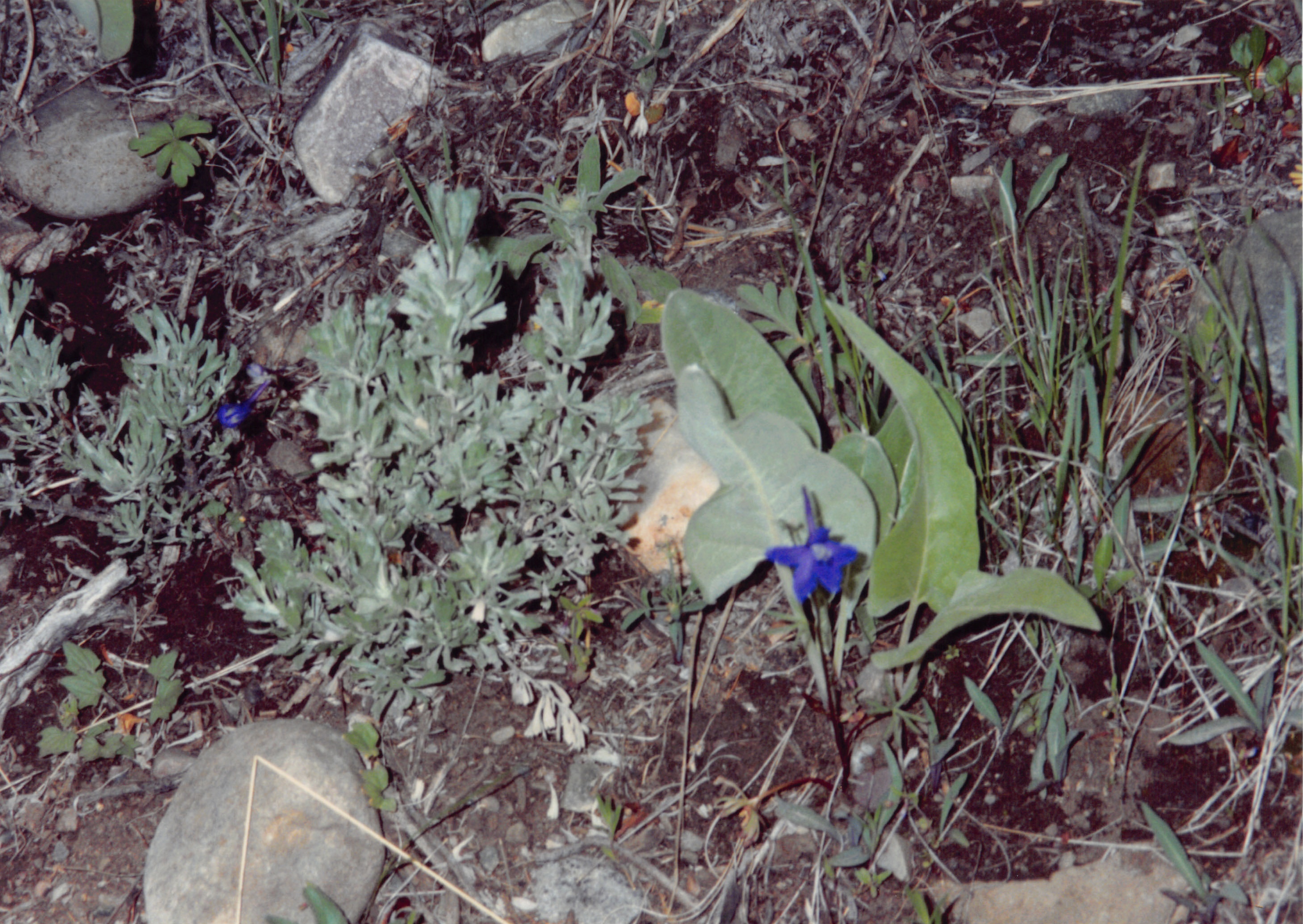 1994_Summer_157.jpg