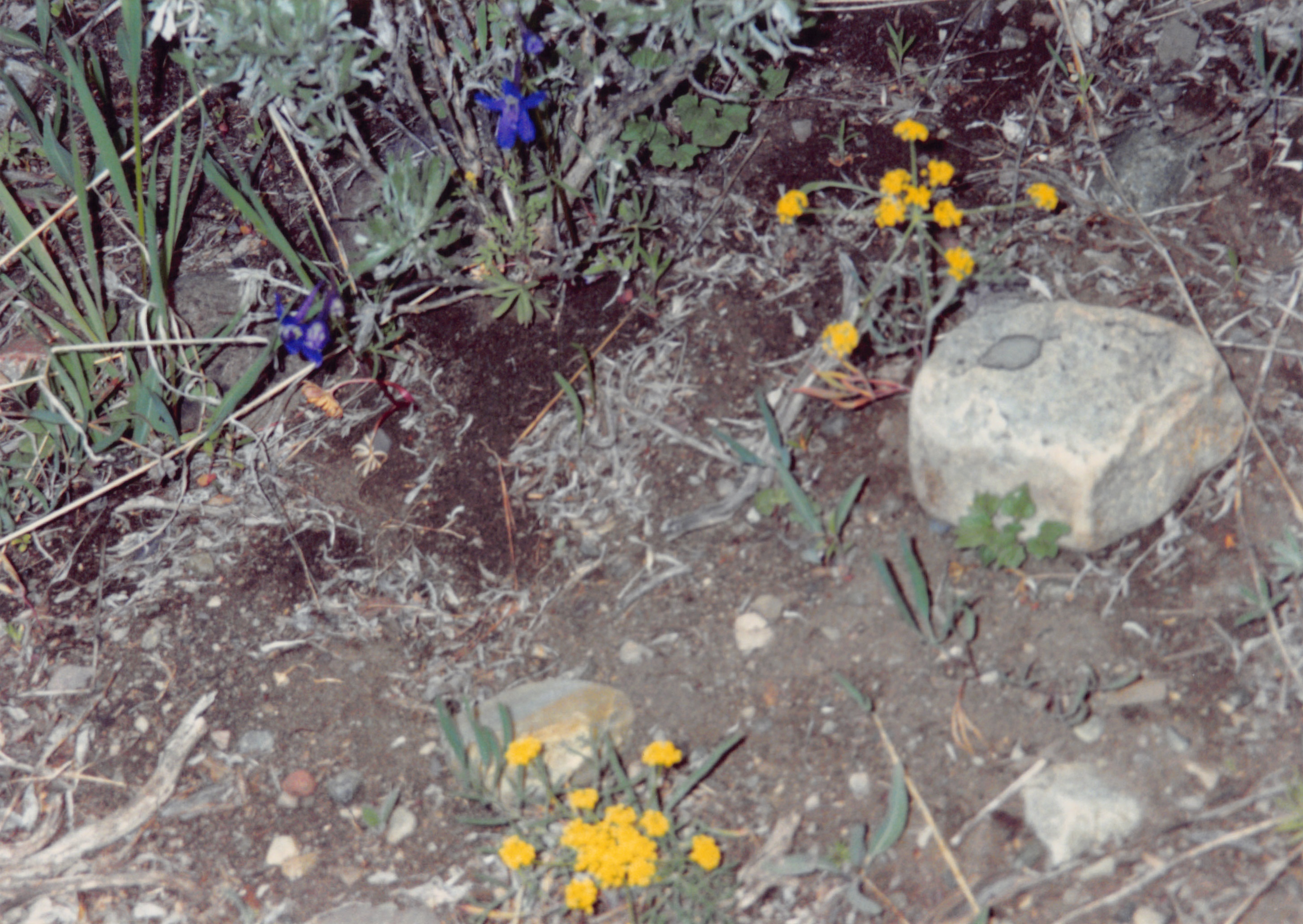 1994_Summer_159.jpg