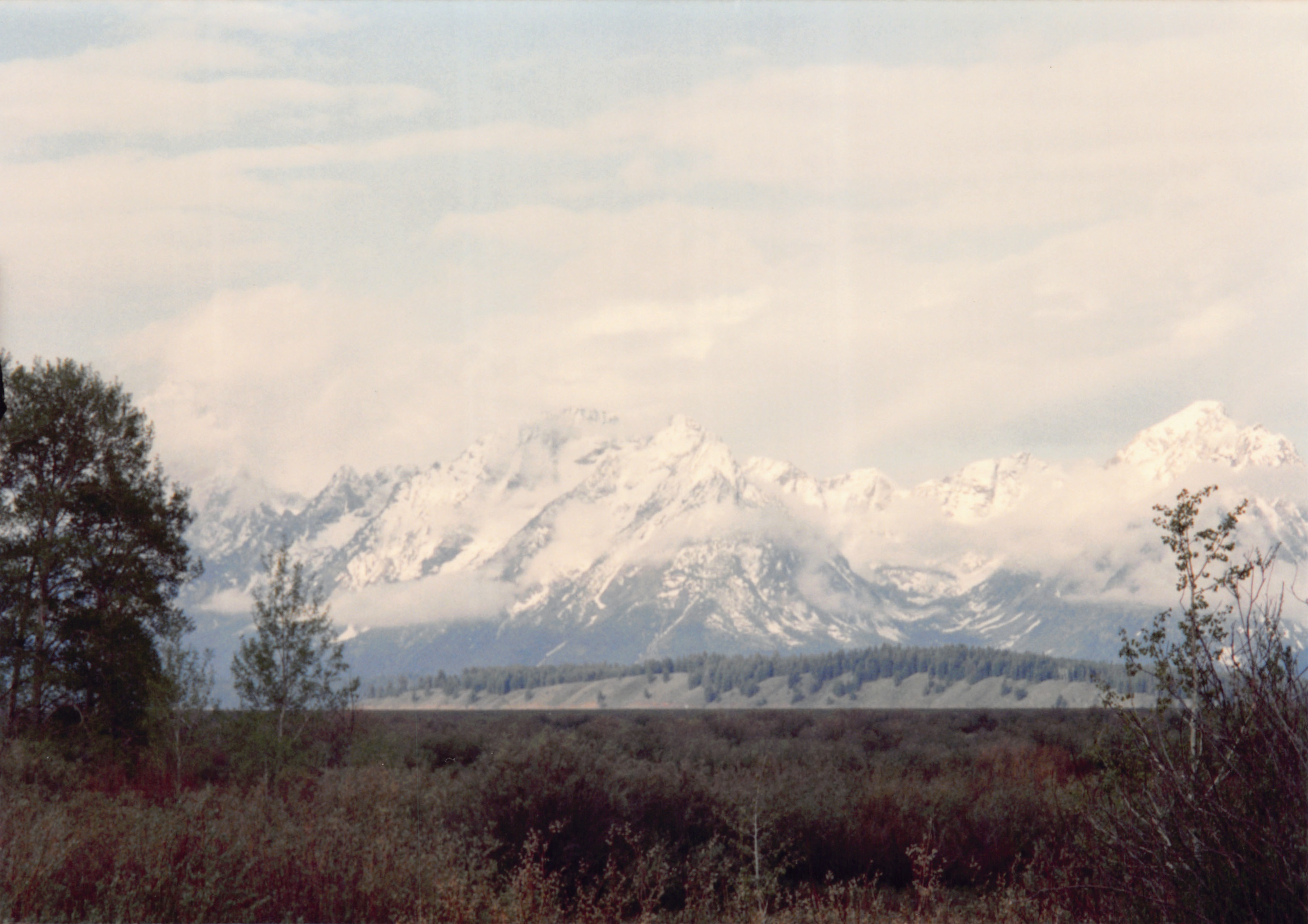 1994_Summer_161.jpg