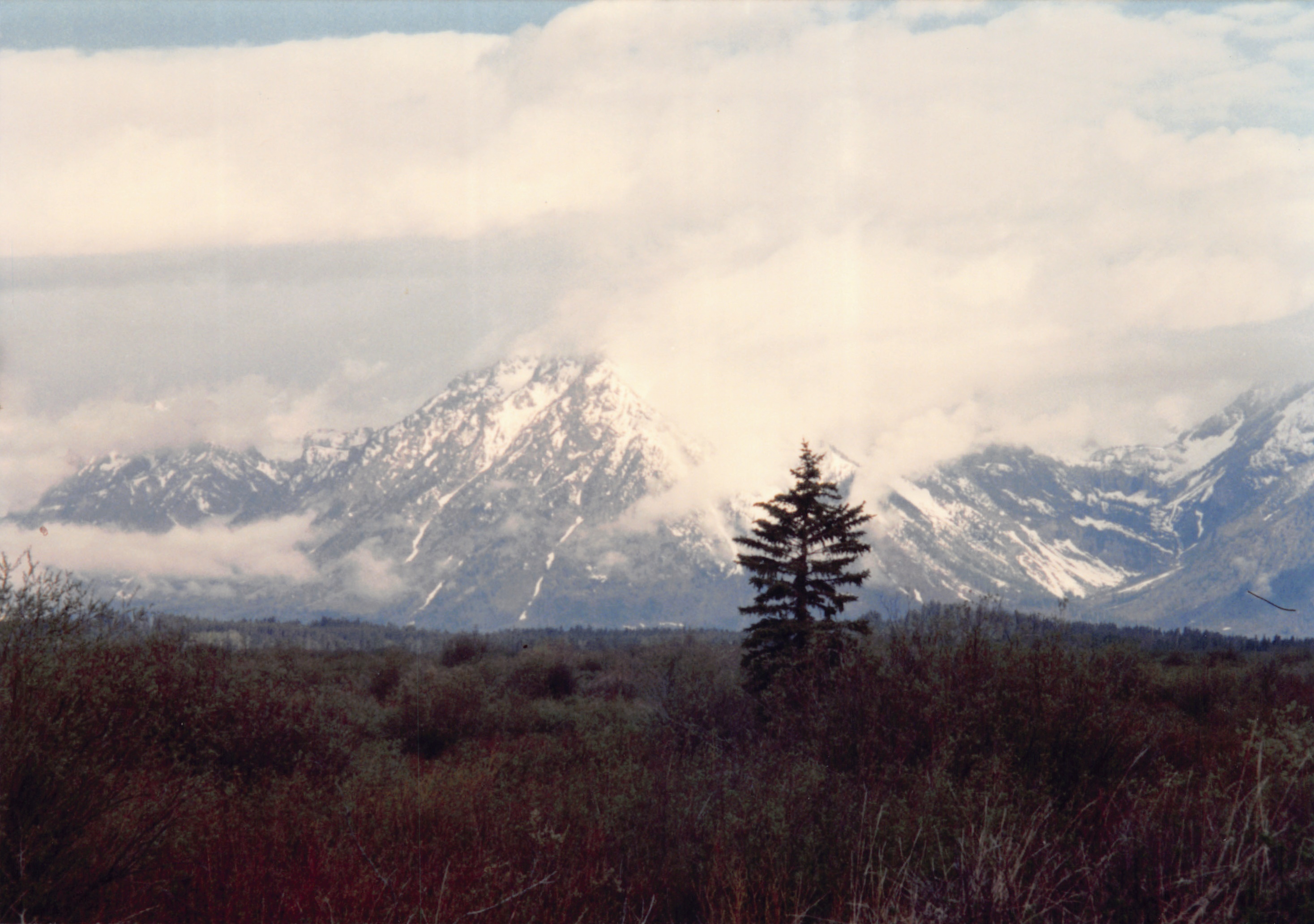 1994_Summer_163.jpg