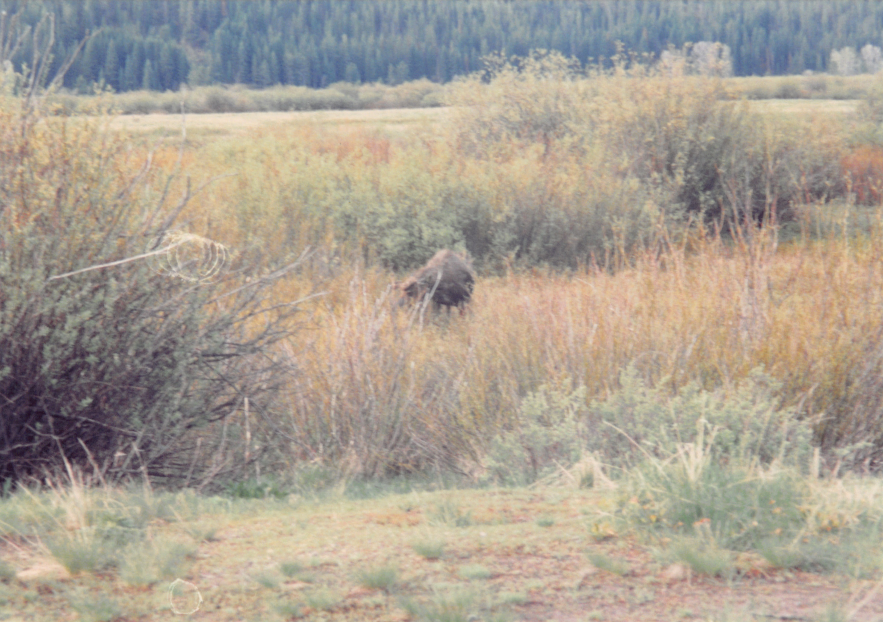 1994_Summer_165.jpg