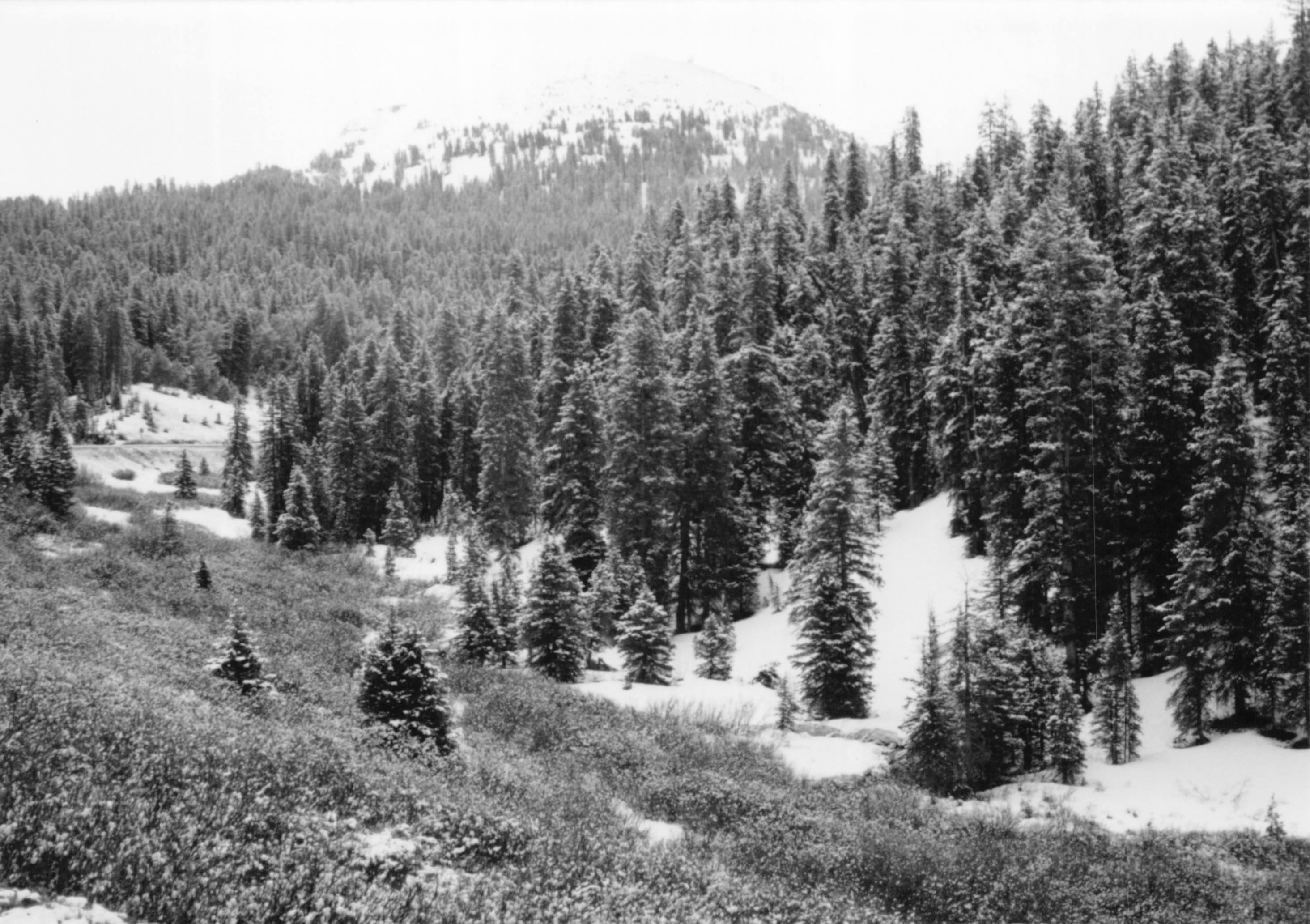 1994_Summer_171.jpg