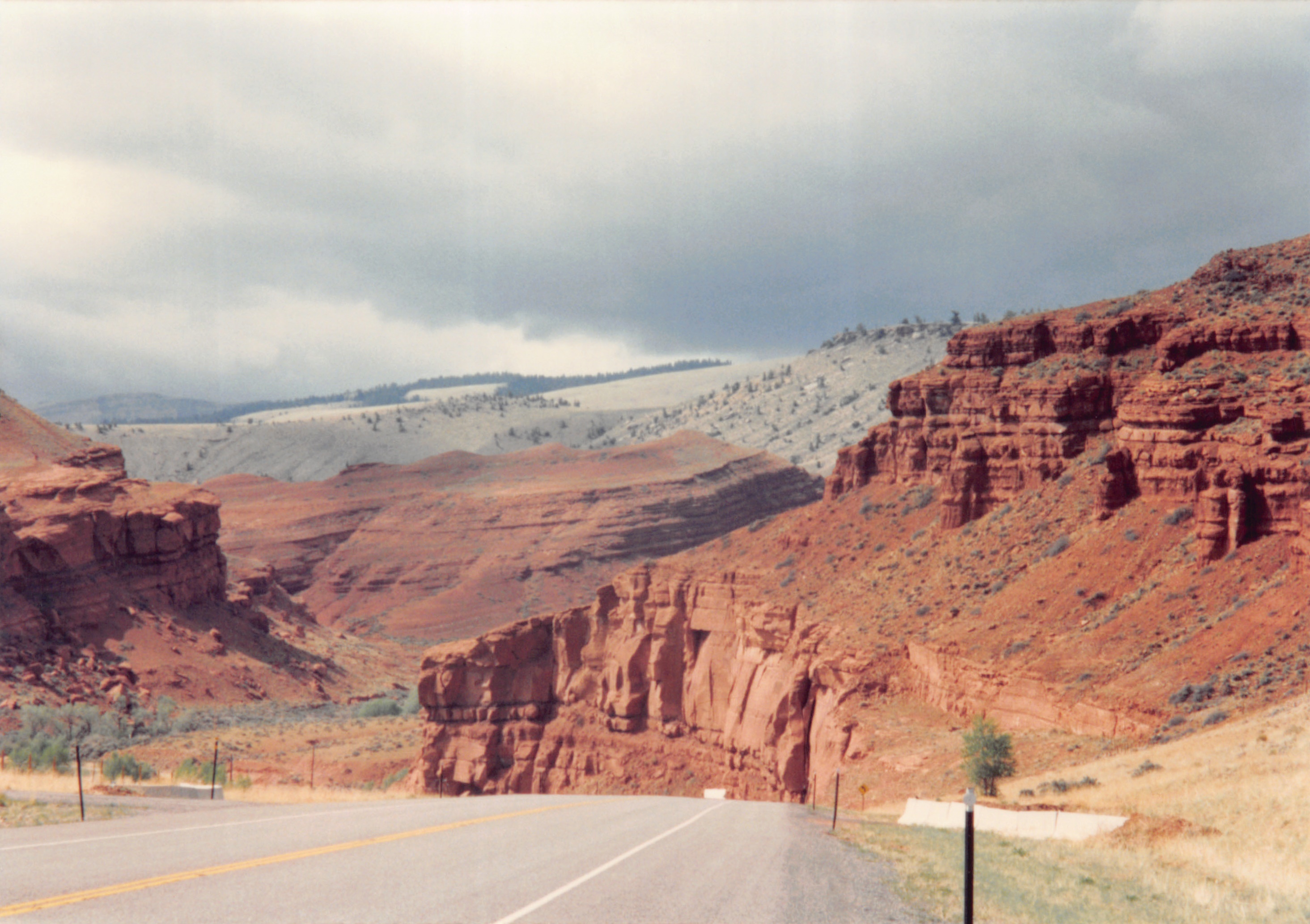 1994_Summer_181.jpg