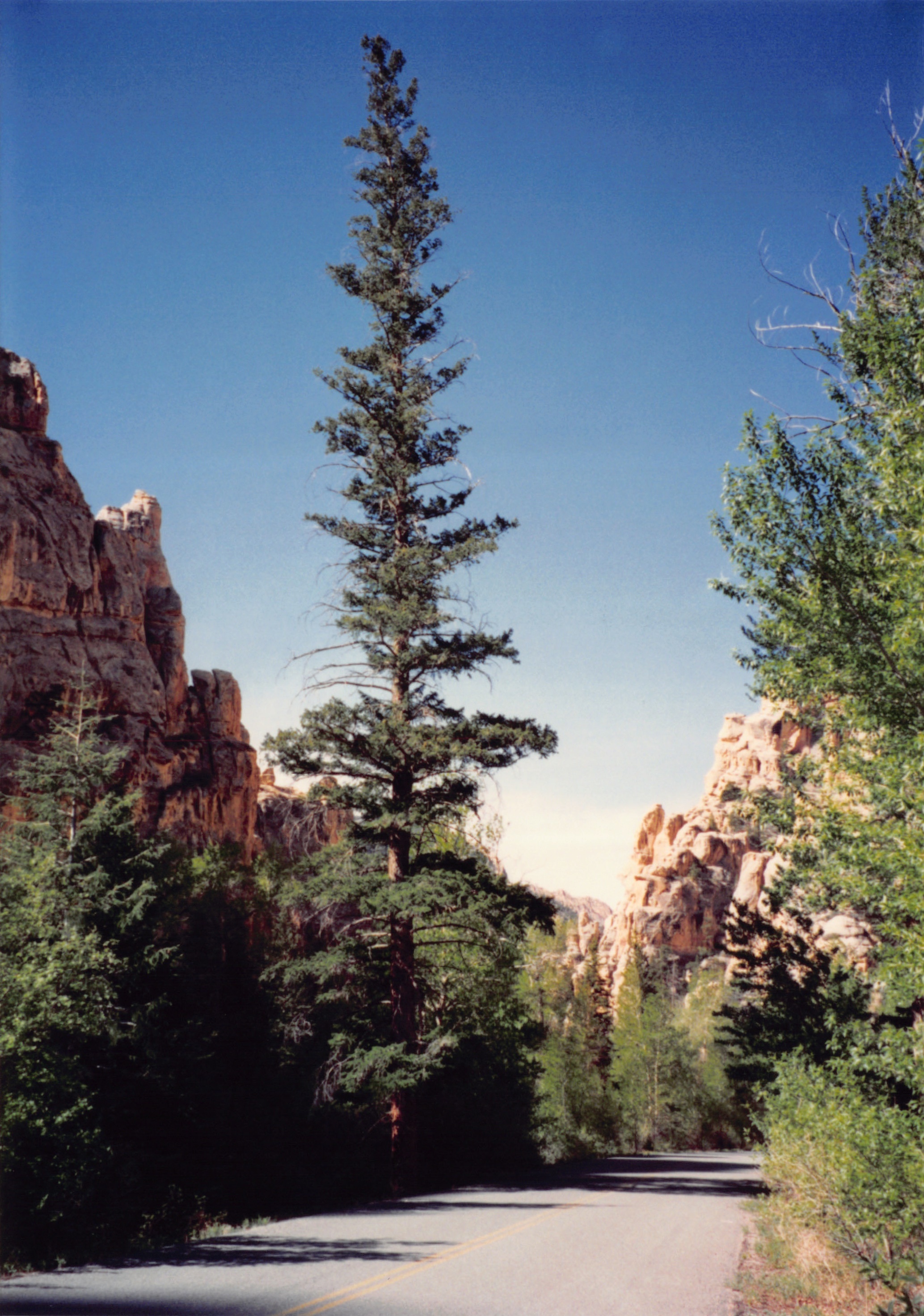 1994_Summer_189.jpg
