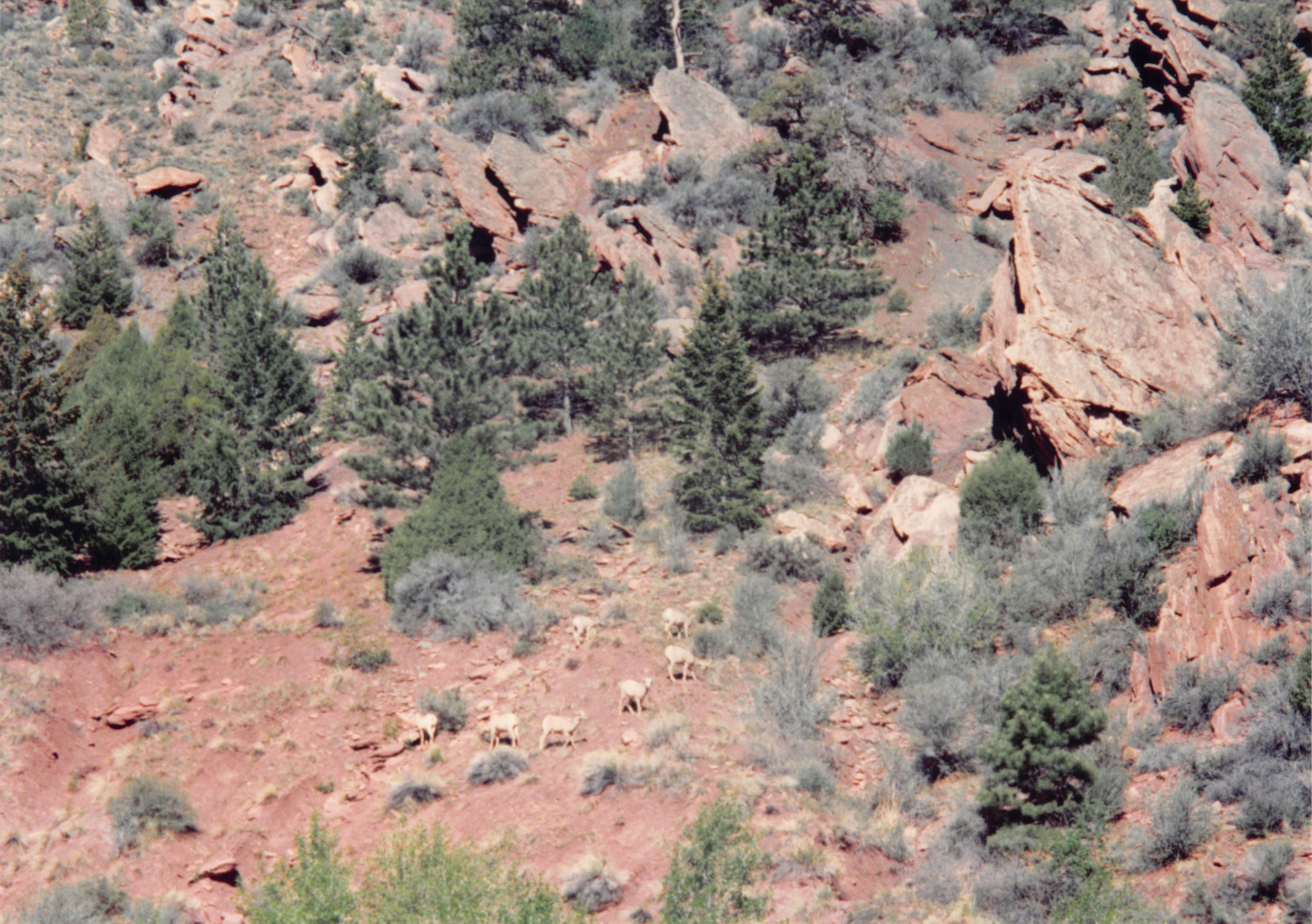 1994_Summer_191.jpg