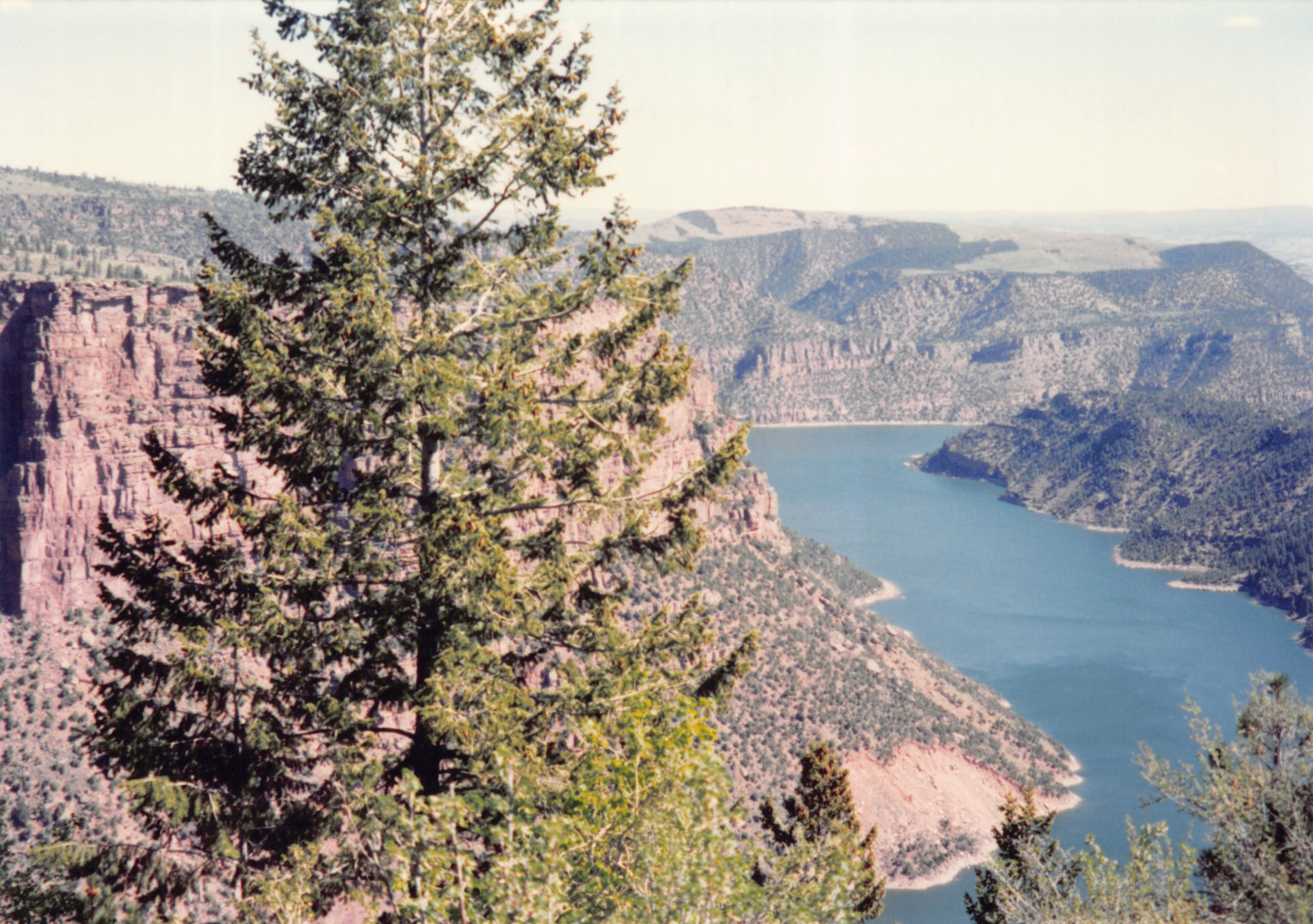 1994_Summer_195.jpg