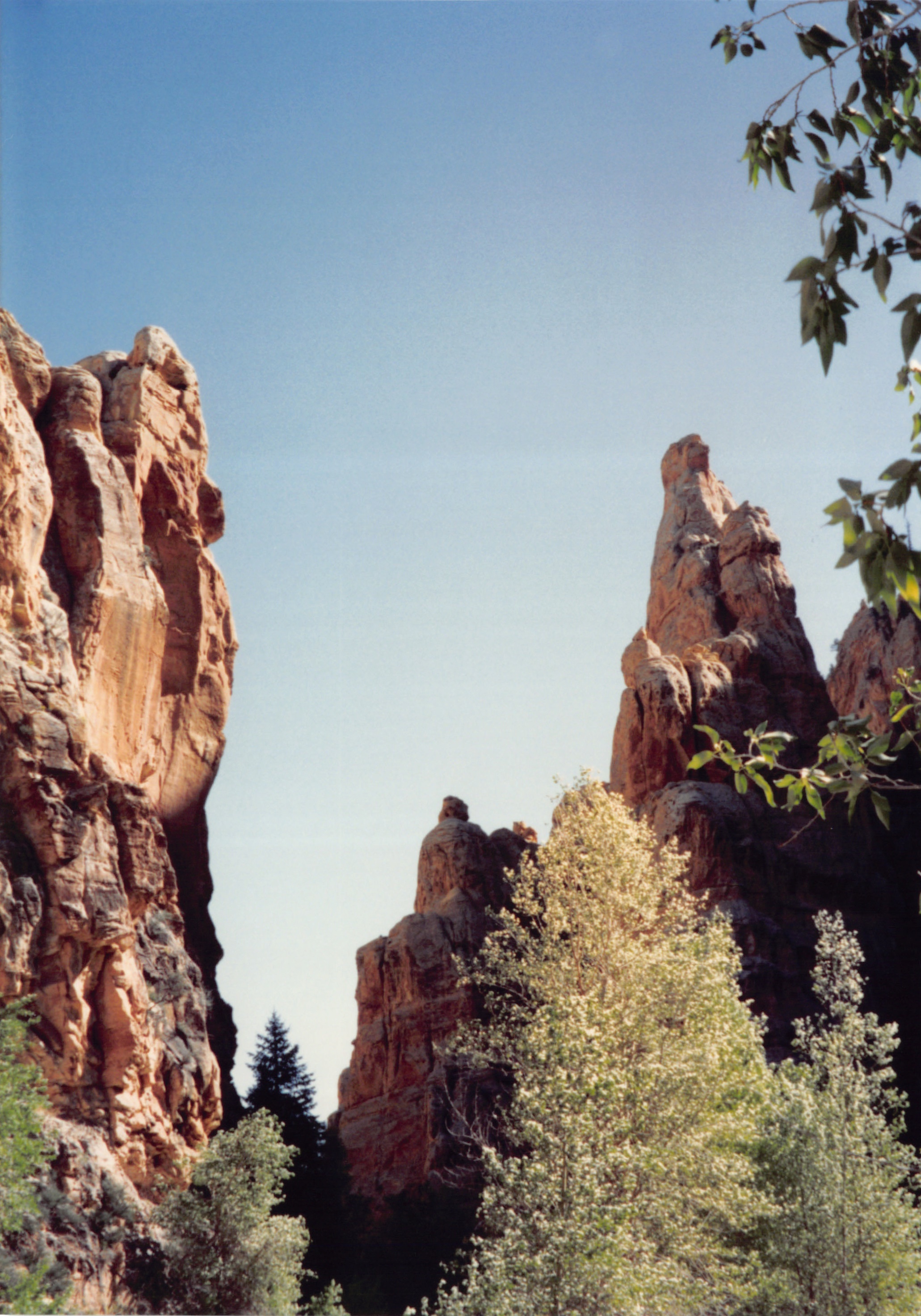 1994_Summer_197.jpg