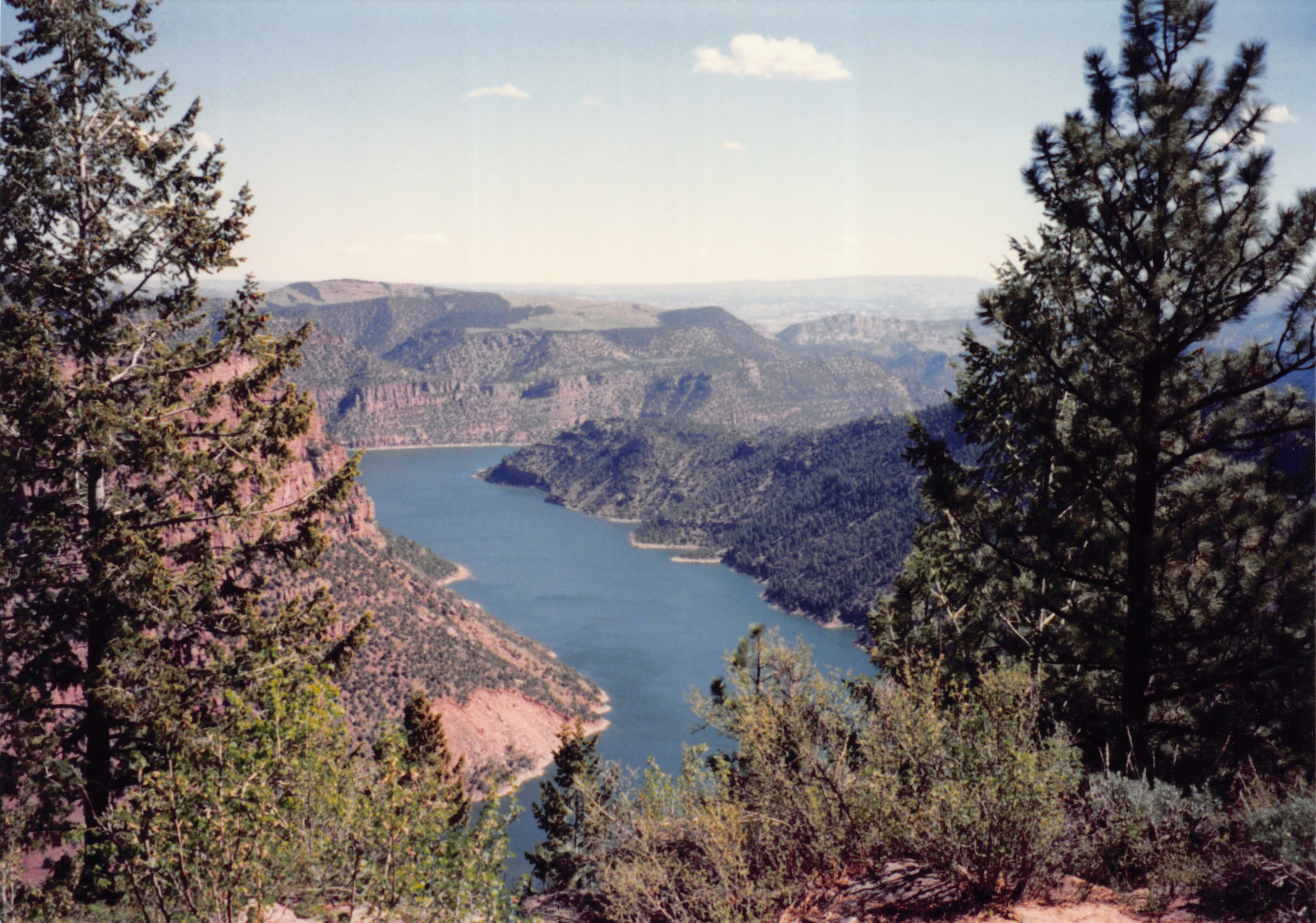 1994_Summer_199.jpg