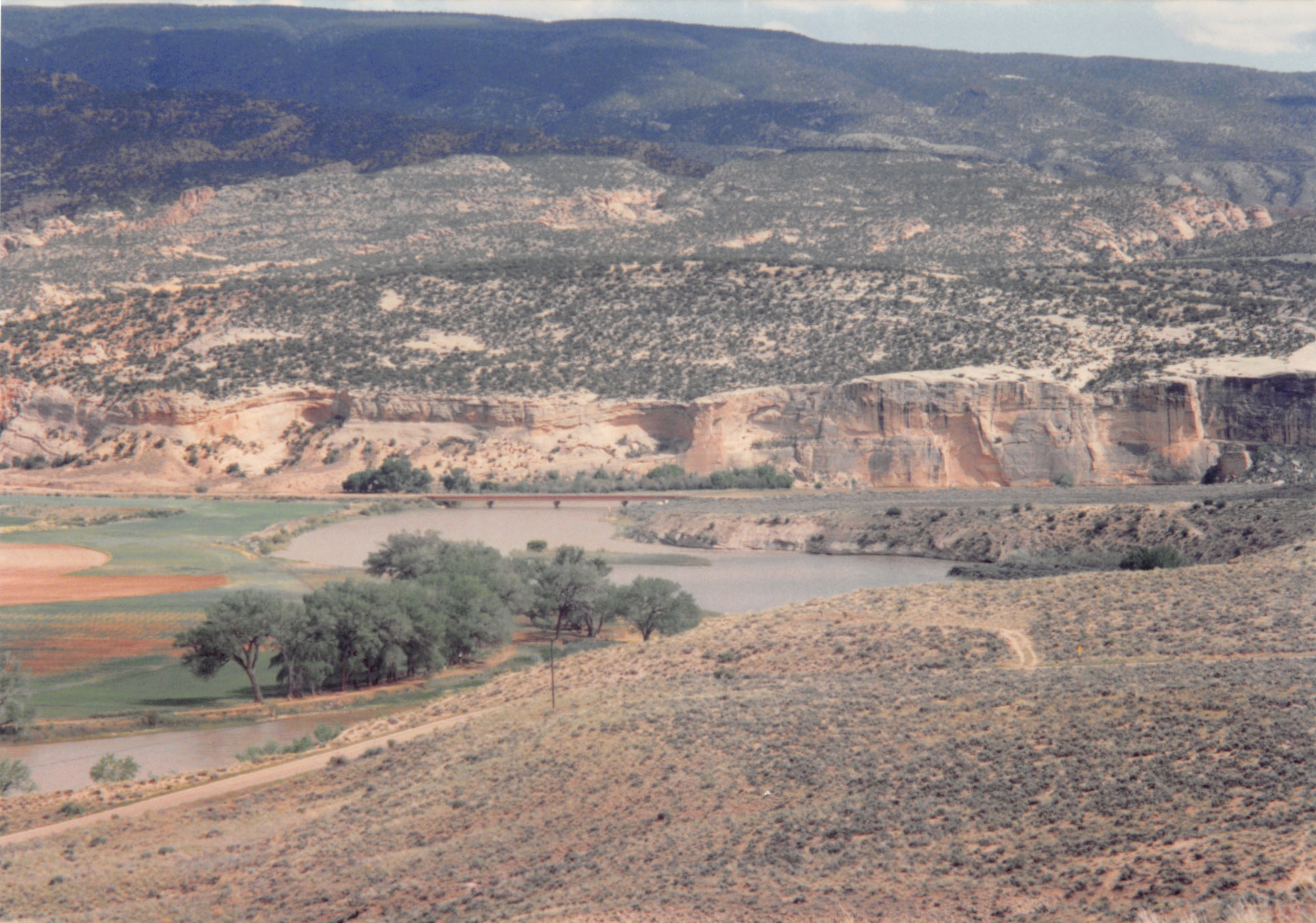 1994_Summer_209.jpg