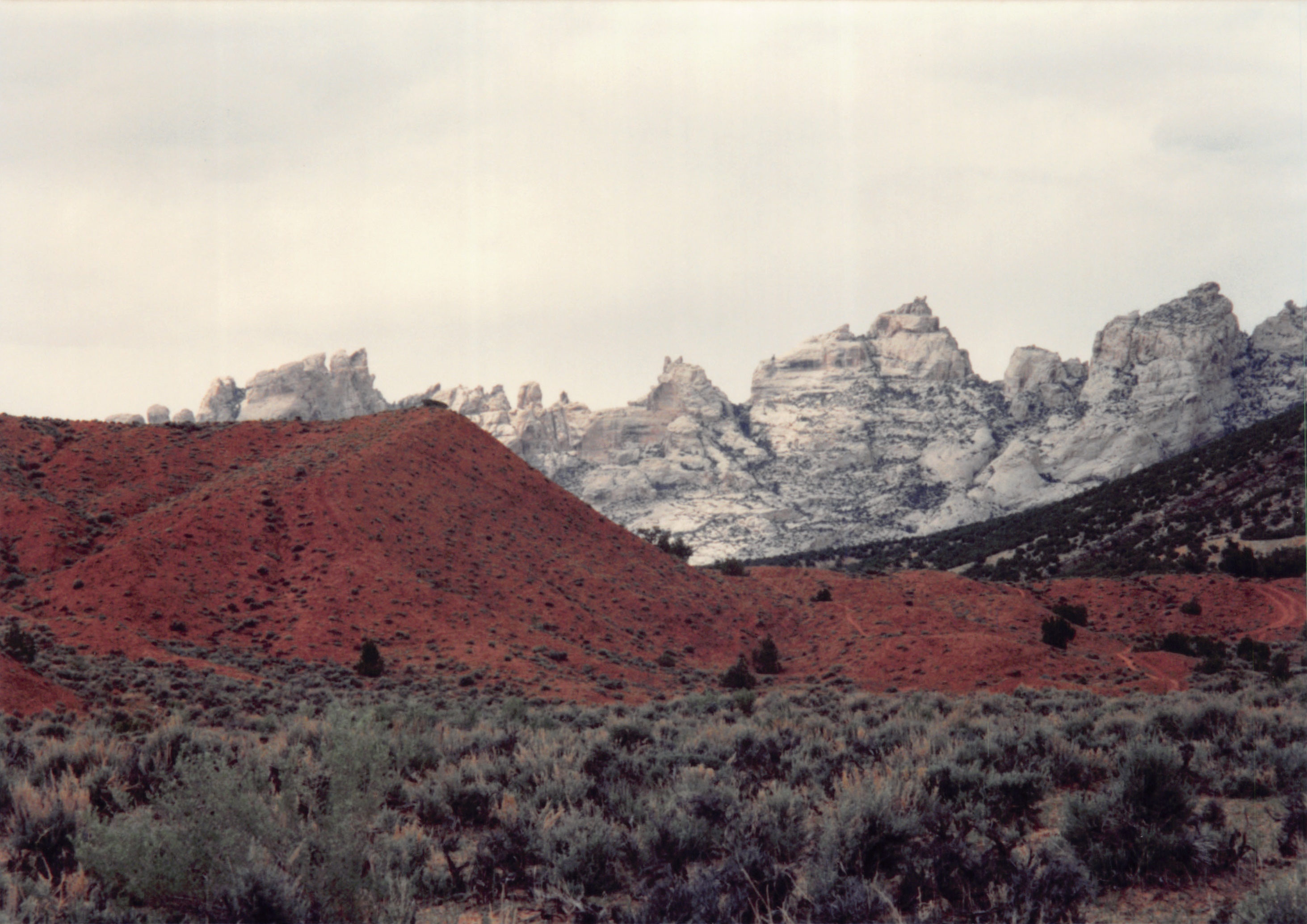 1994_Summer_215.jpg