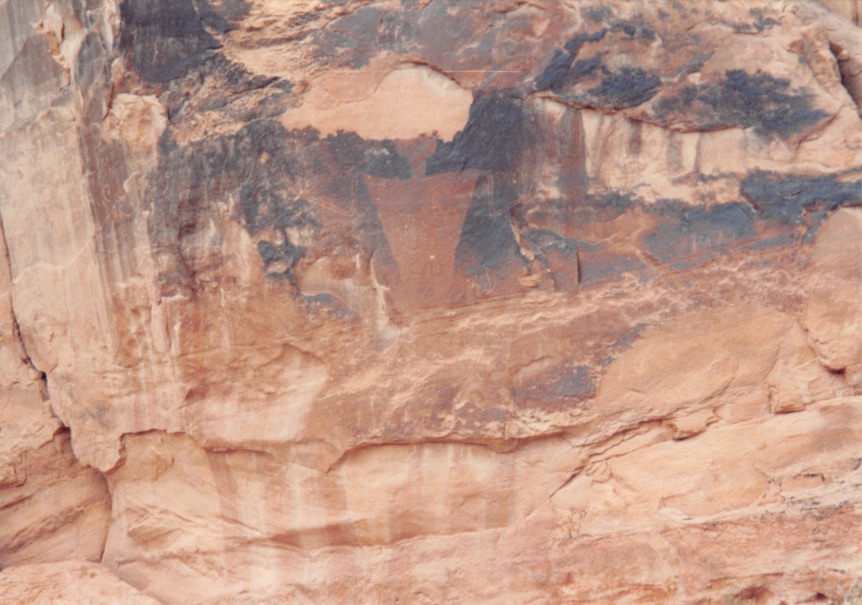 1994_Summer_219.jpg